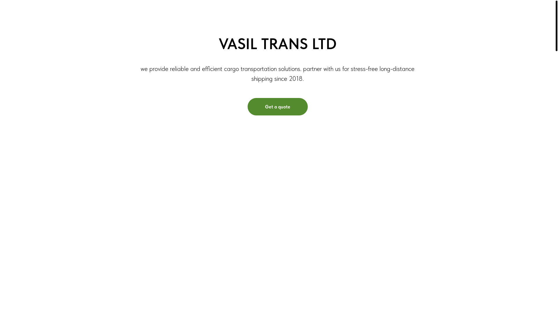 website screenshot of https://vasiltrans.store/