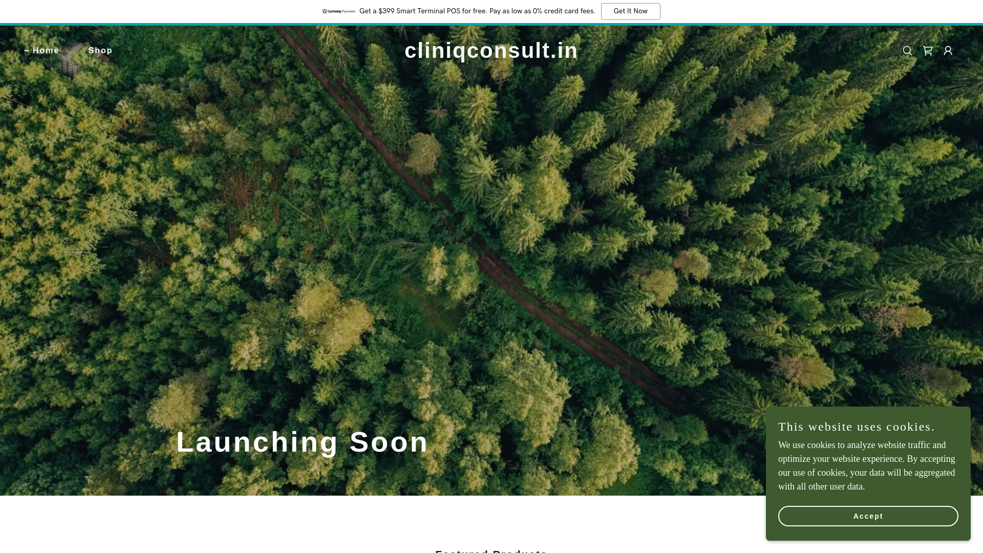 website screenshot of https://cliniqconsult.in/