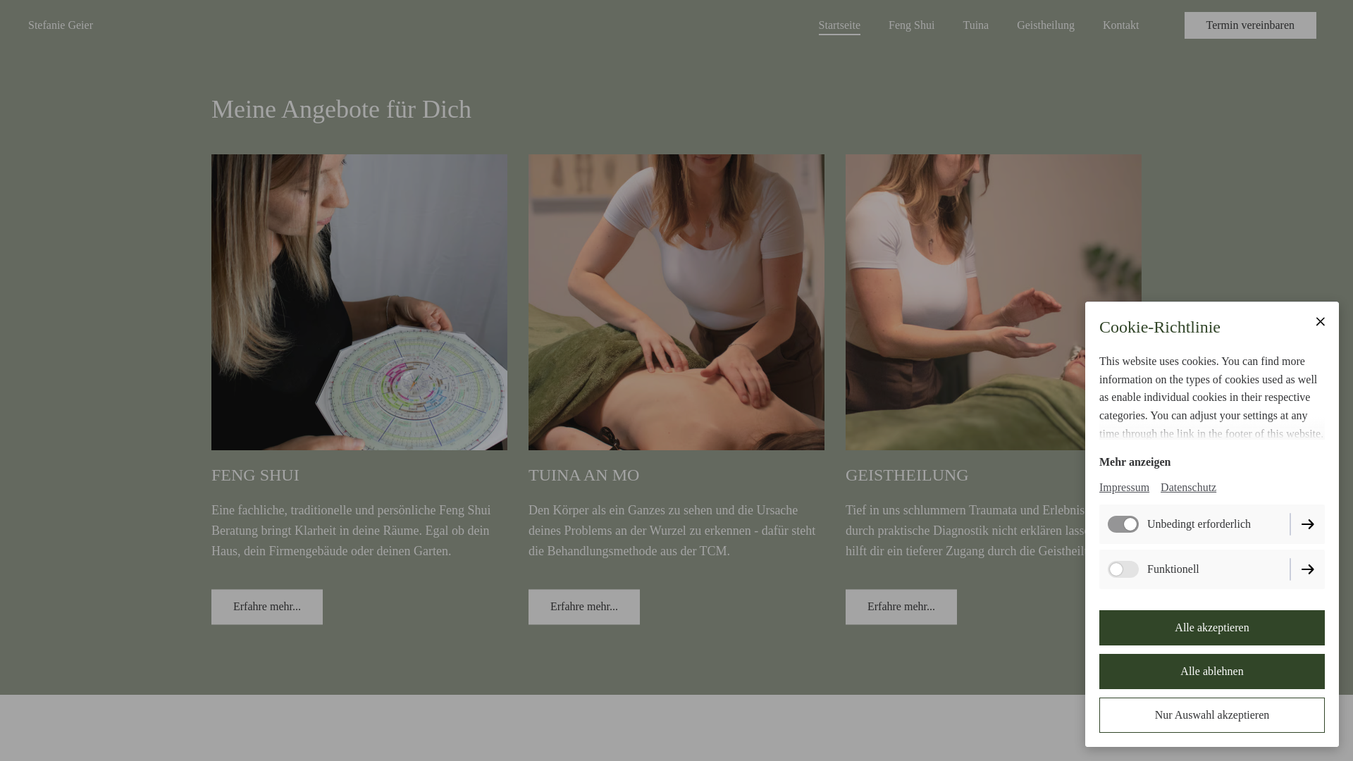 website screenshot of https://steffigeier.at