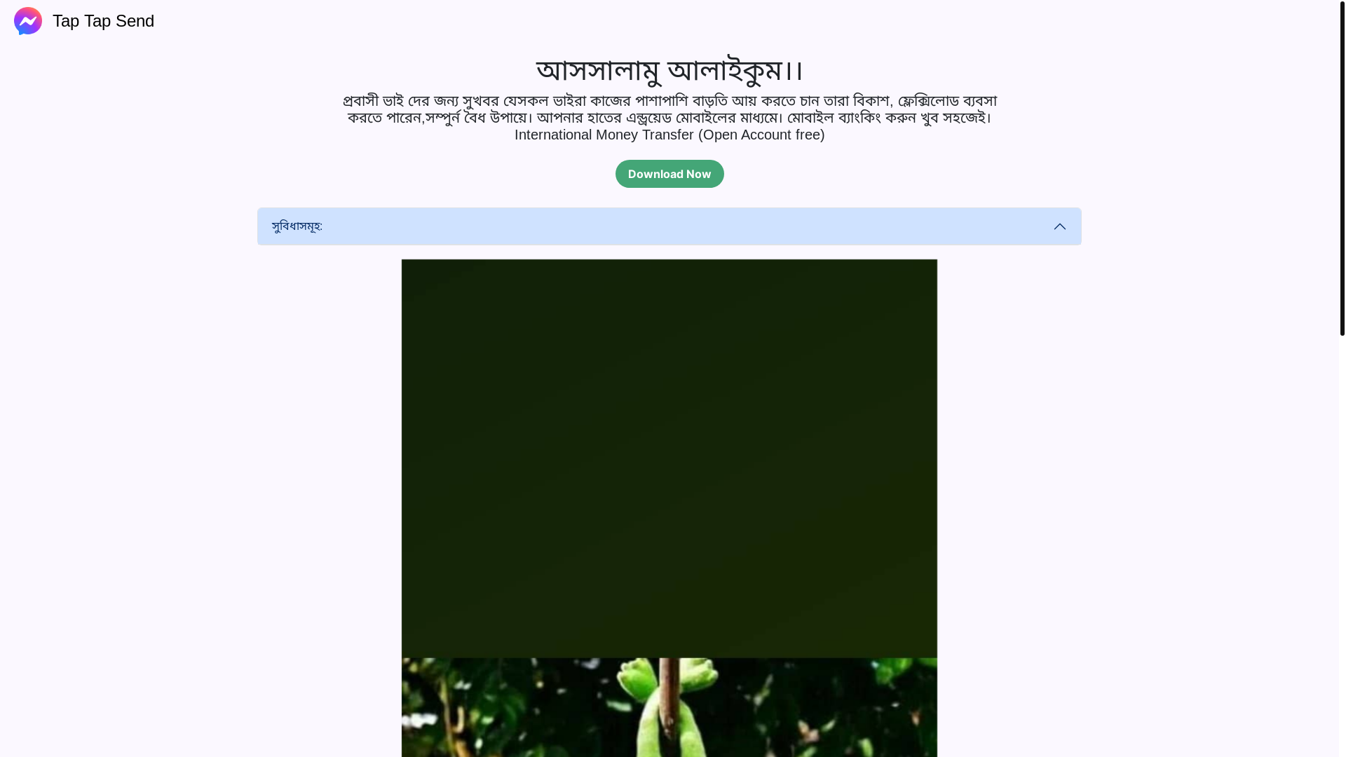 website screenshot of https://quickpayapp.top/