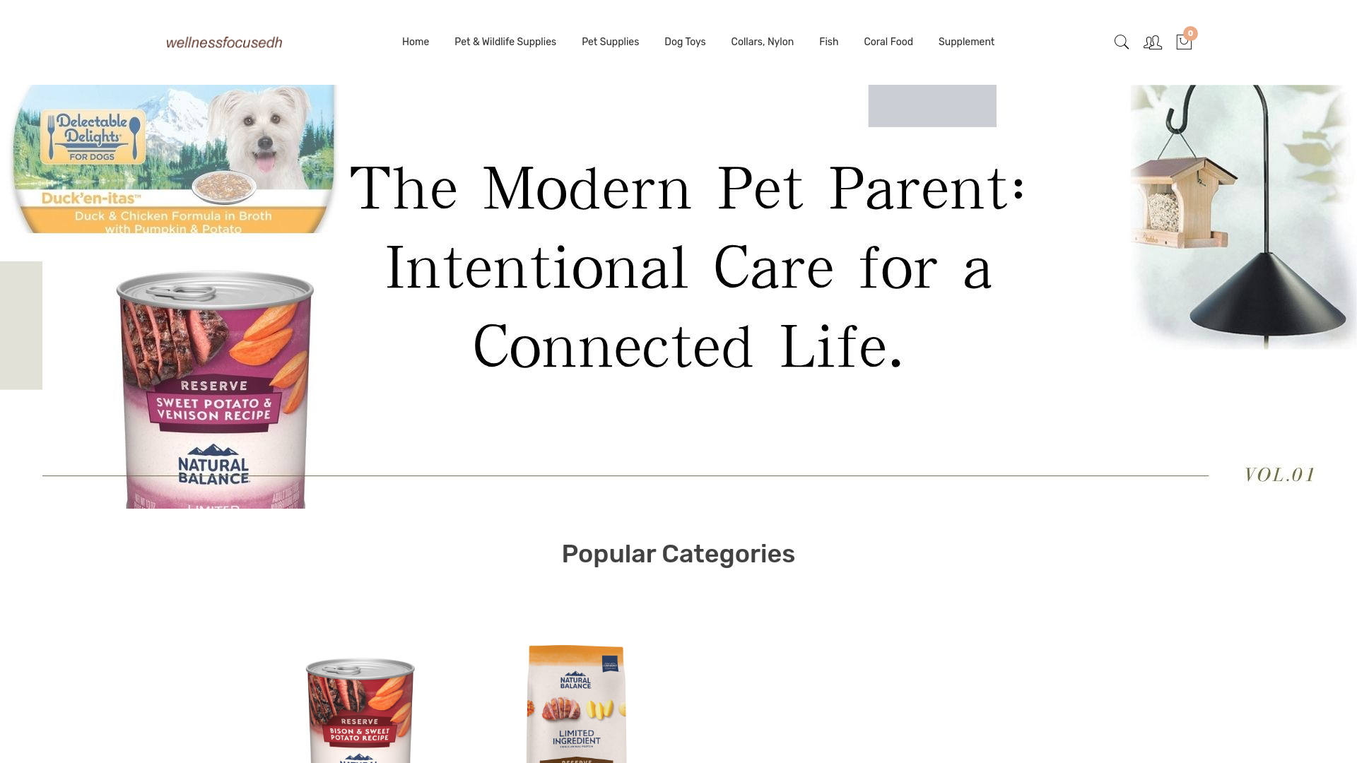 website screenshot of https://wellnessfocusedh.com