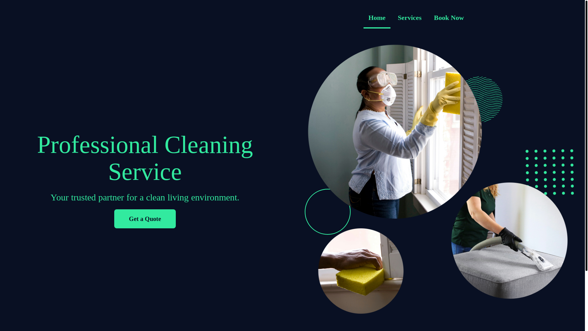 website screenshot of https://phastpacecleaning.com/