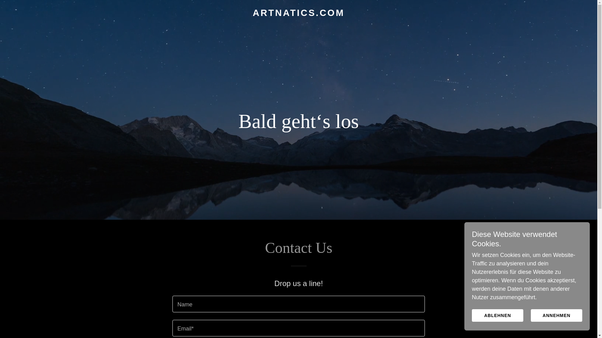 website screenshot of https://artnatics.com/