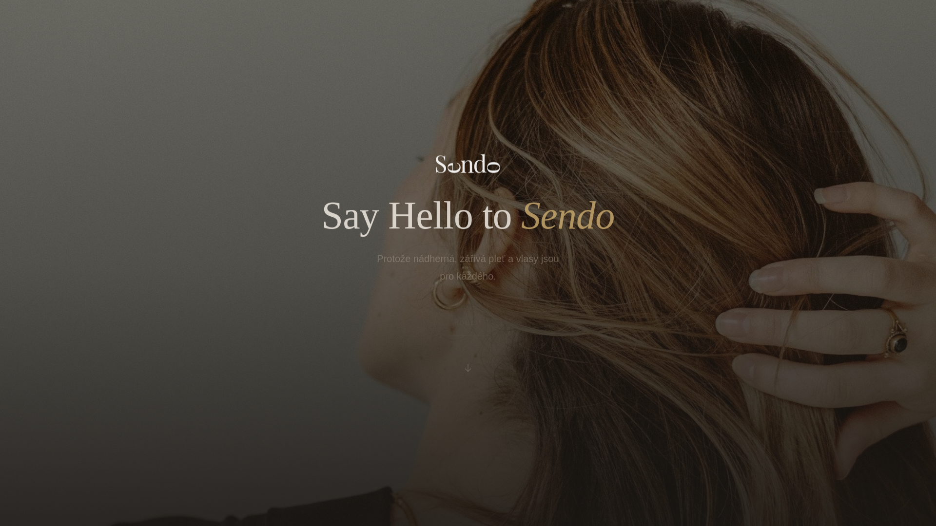 website screenshot of https://sendo-concept.pages.dev/