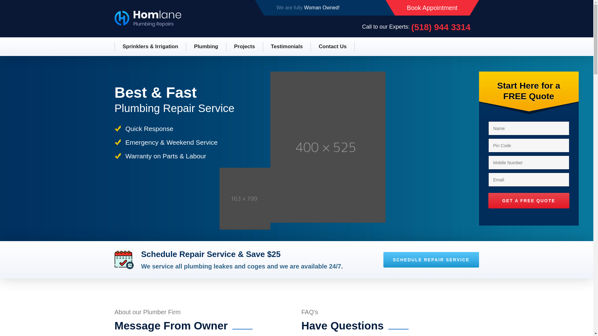website screenshot of https://leakgeeks.plumbing/