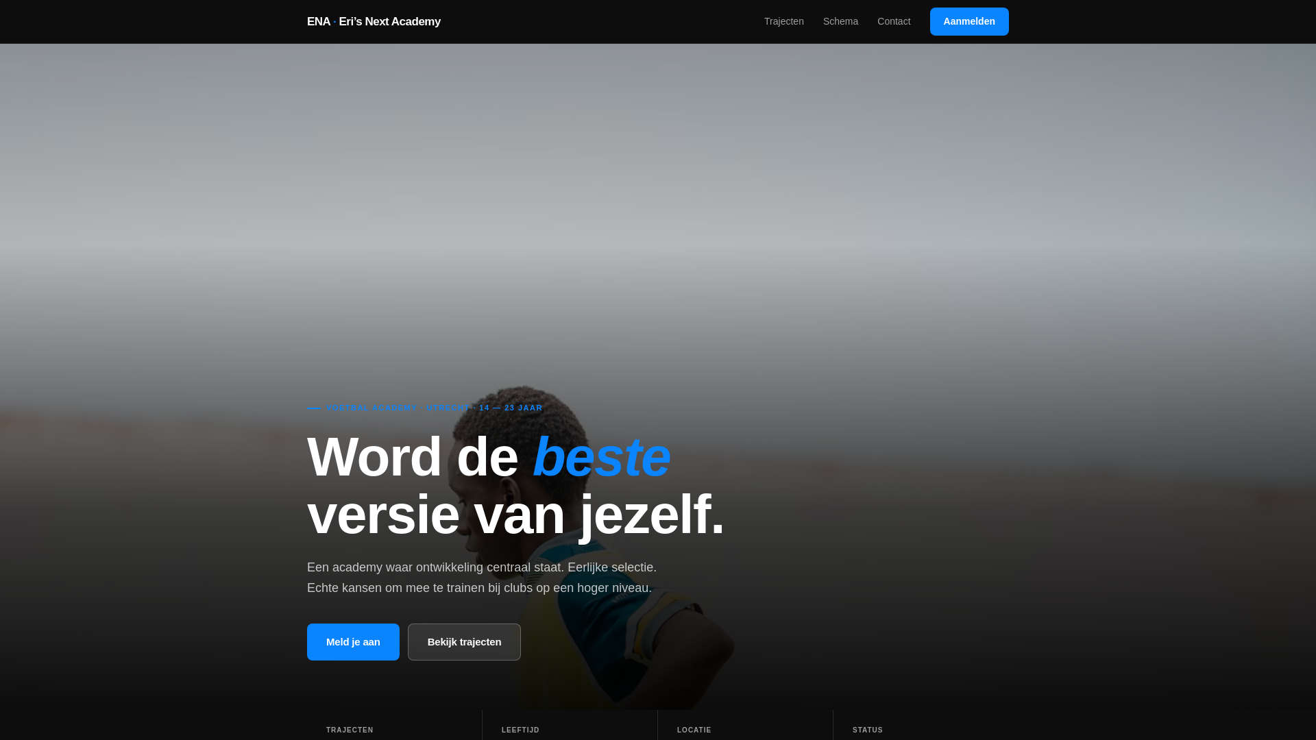 website screenshot of https://erisnextacademy.com/