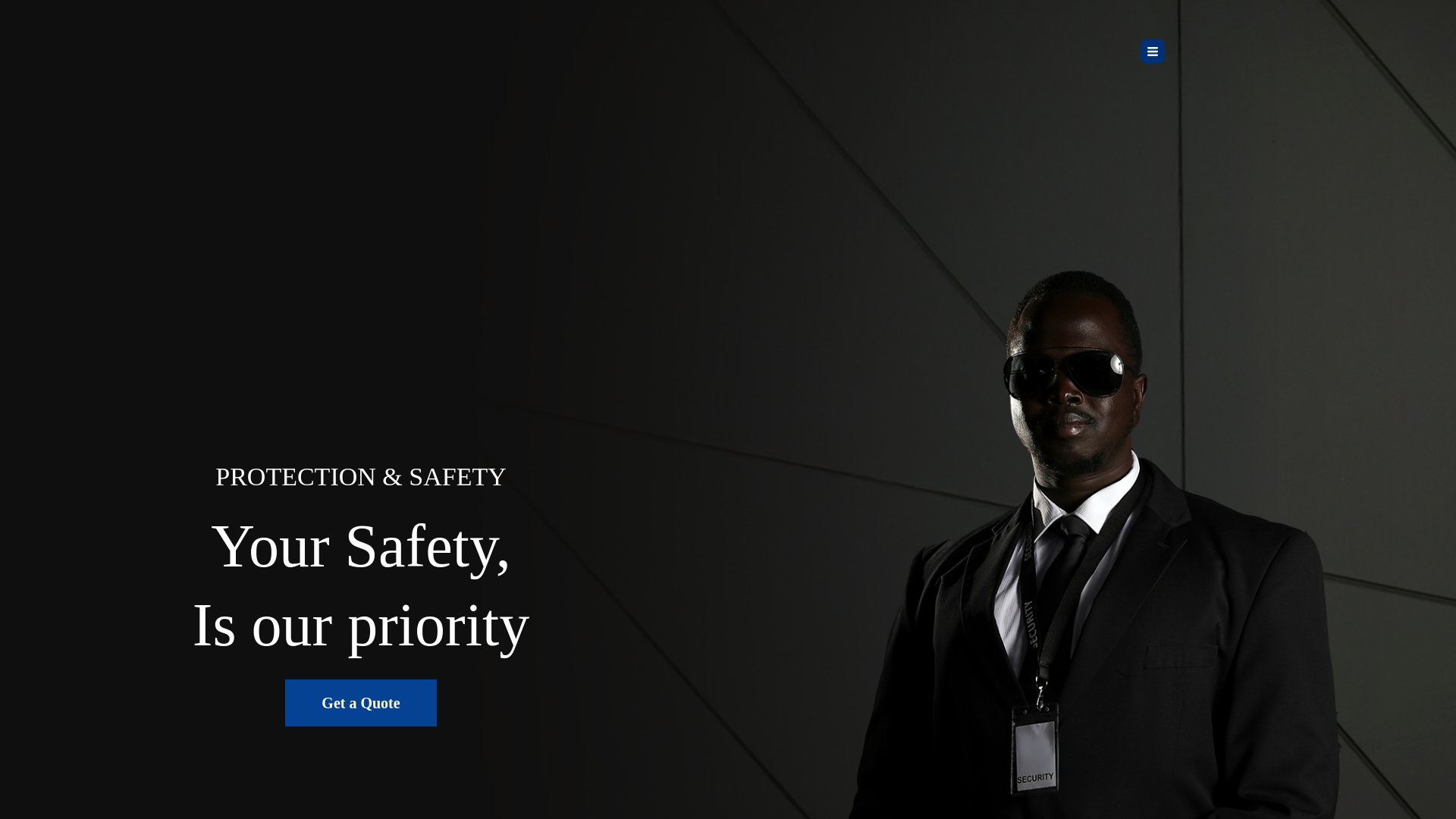 website screenshot of https://lonestarprotectionsolutions.com
