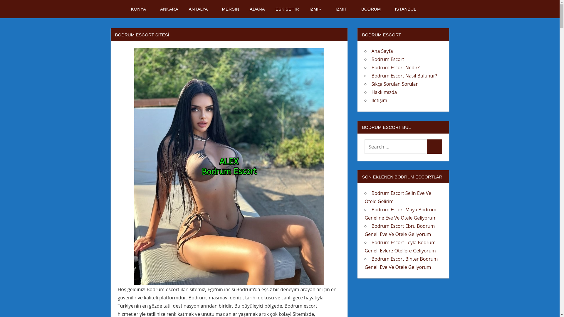 website screenshot of https://bodrumescortx4.shop/