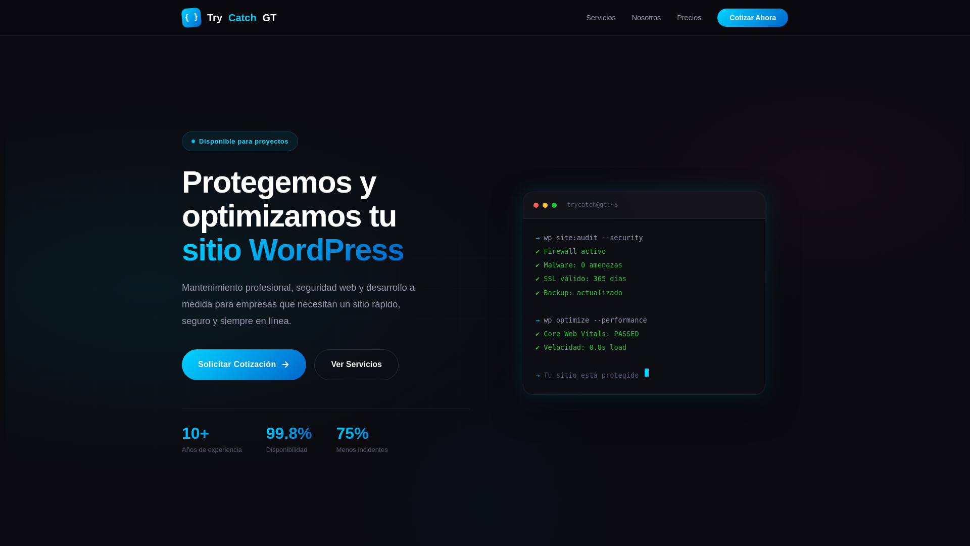 website screenshot of https://trycatchgt.org/