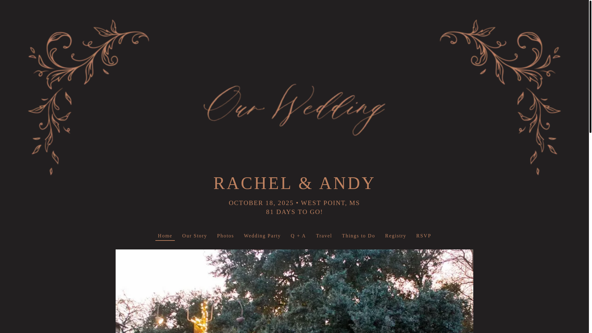 website screenshot of https://rachelandandy.us/