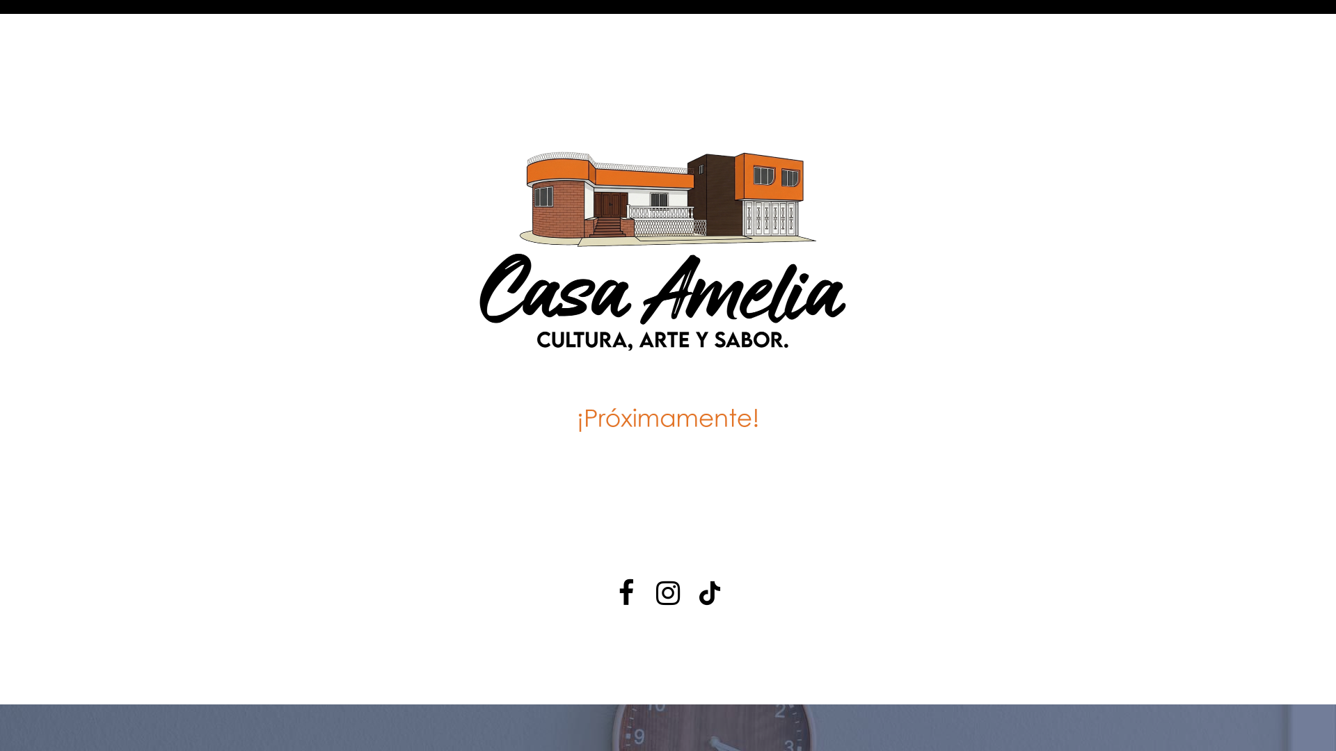 website screenshot of https://casaamelia.com.mx/