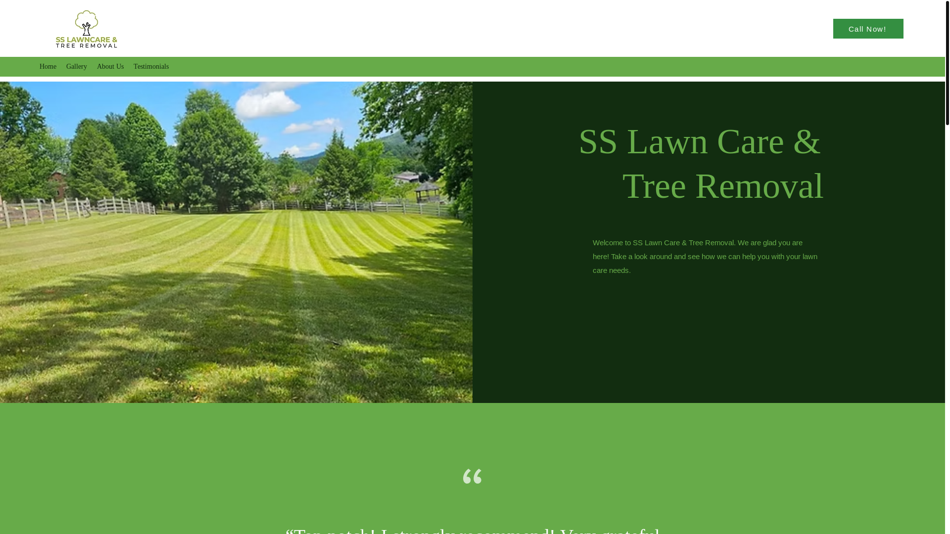 website screenshot of https://sslawncaretree.com/