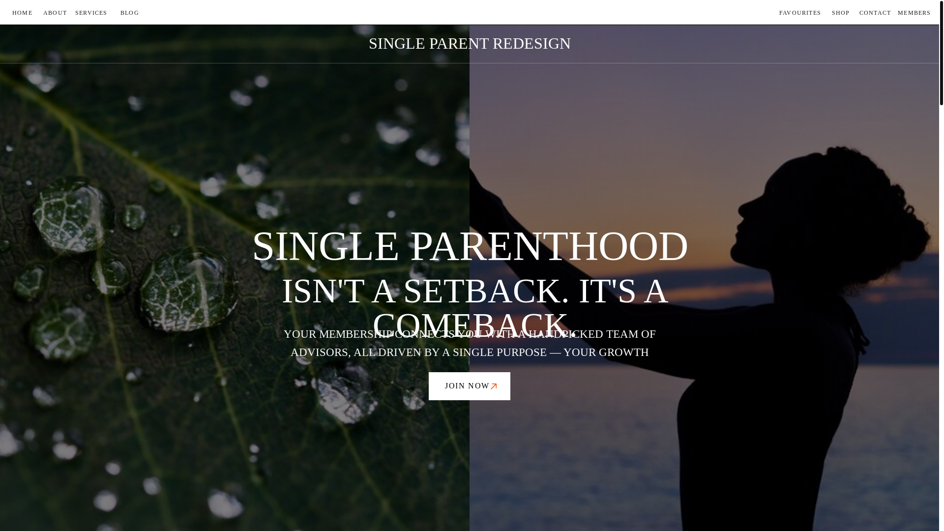 website screenshot of https://selfinvested.ca/