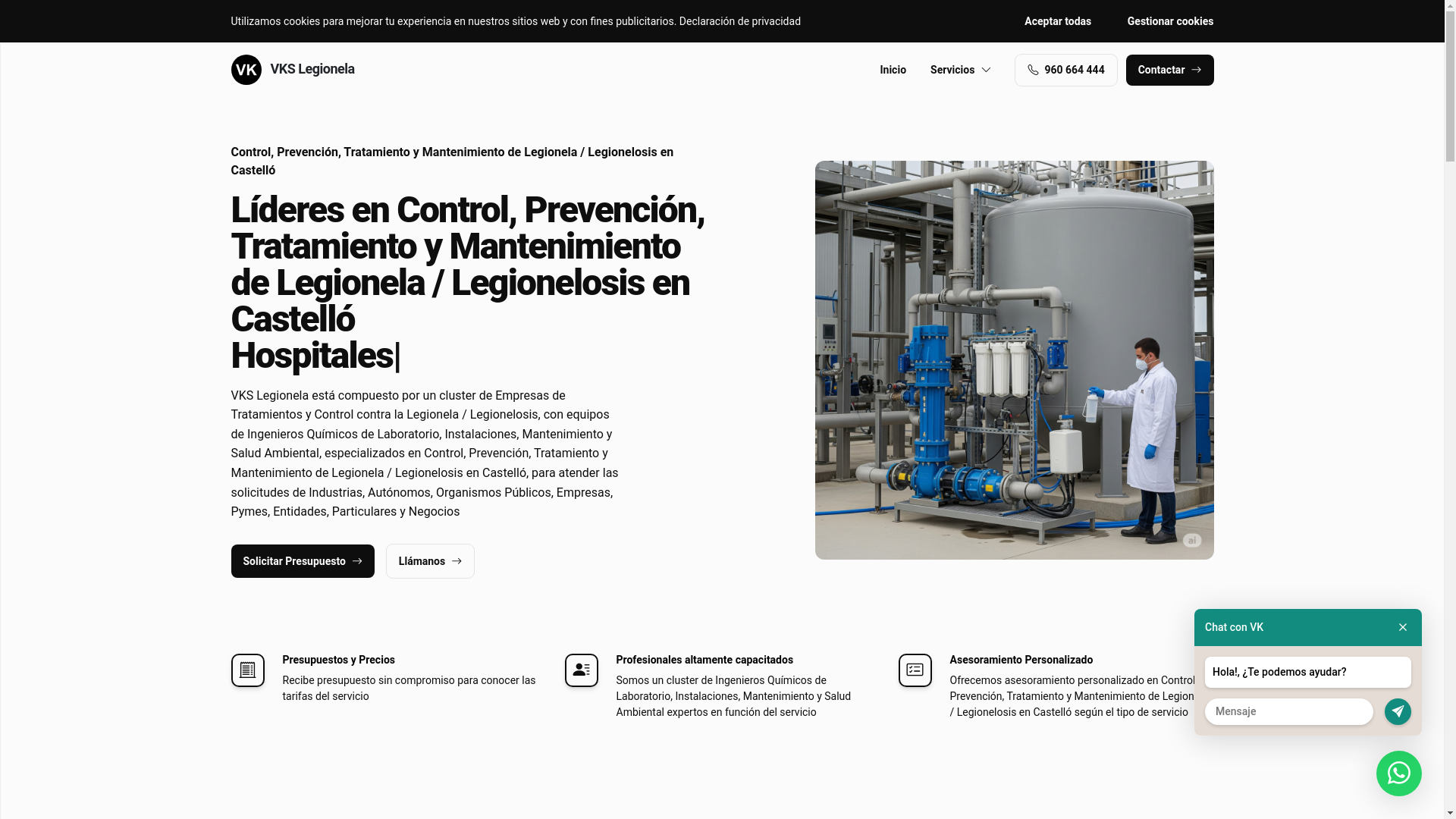 website screenshot of https://vkslegionelacastello.es/