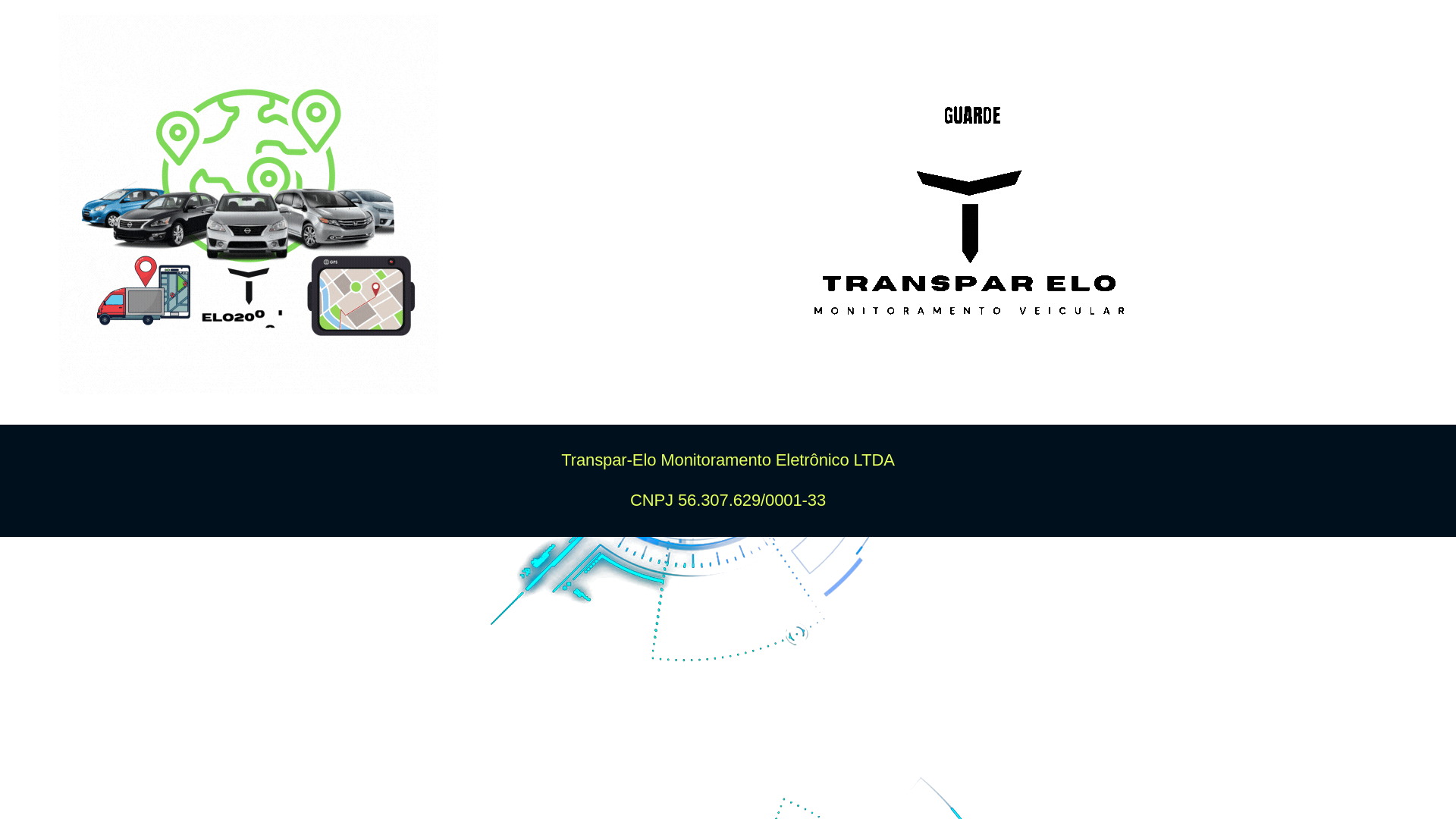 website screenshot of https://transparelobrasil.com.br/