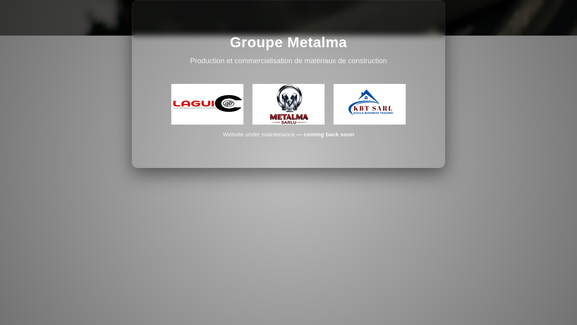 website screenshot of https://groupemetalma.com/
