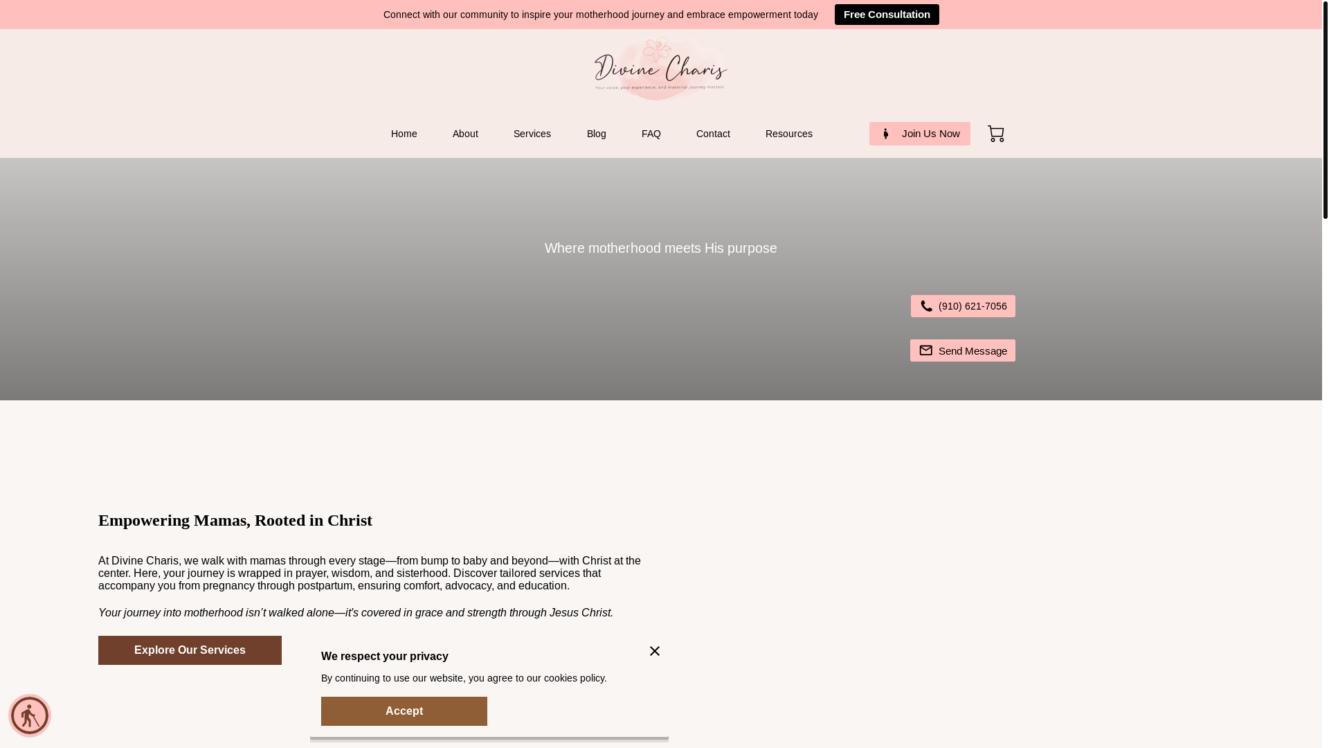 website screenshot of https://divinecharis.com/