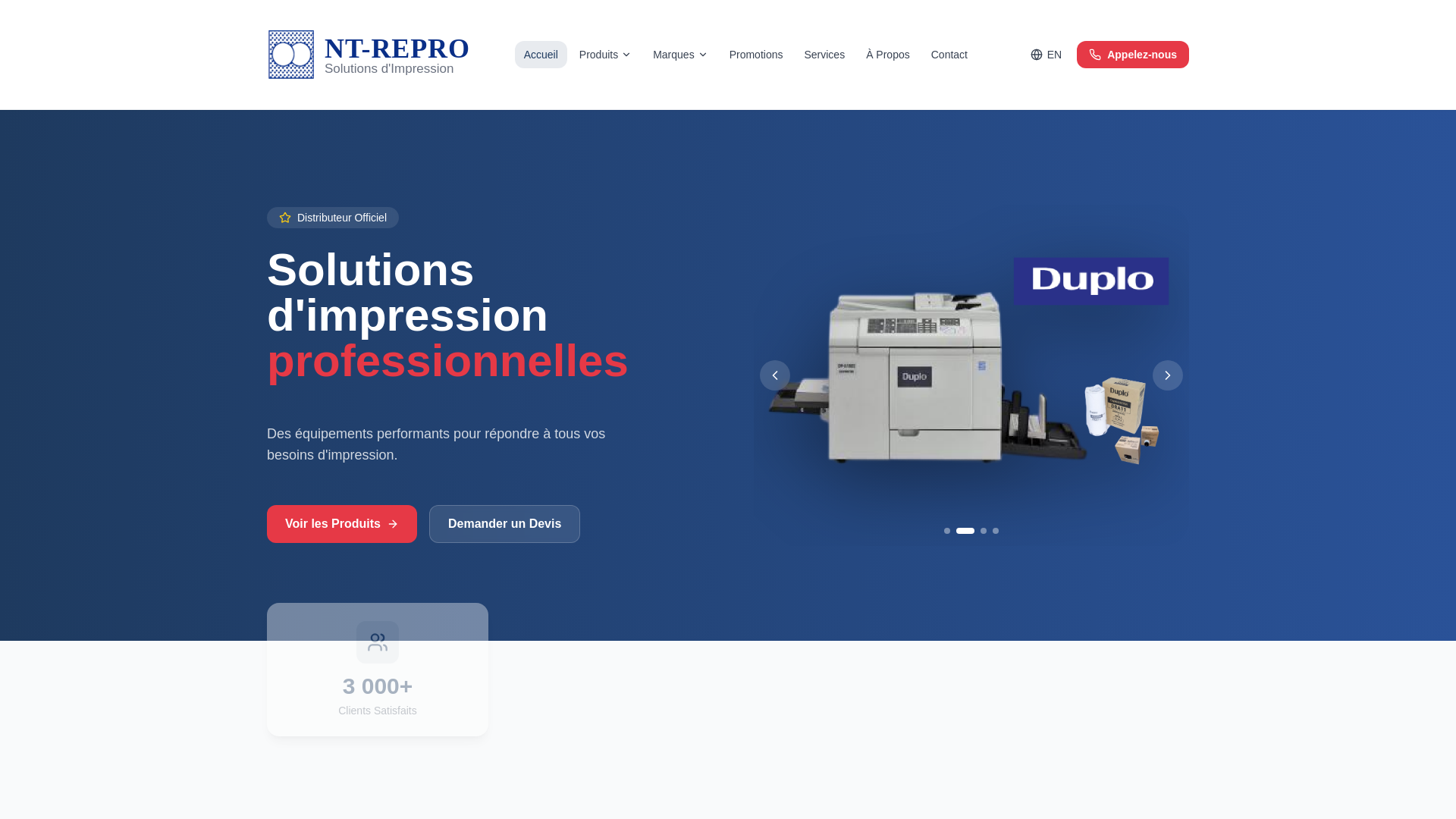 website screenshot of https://nt-repro.com/