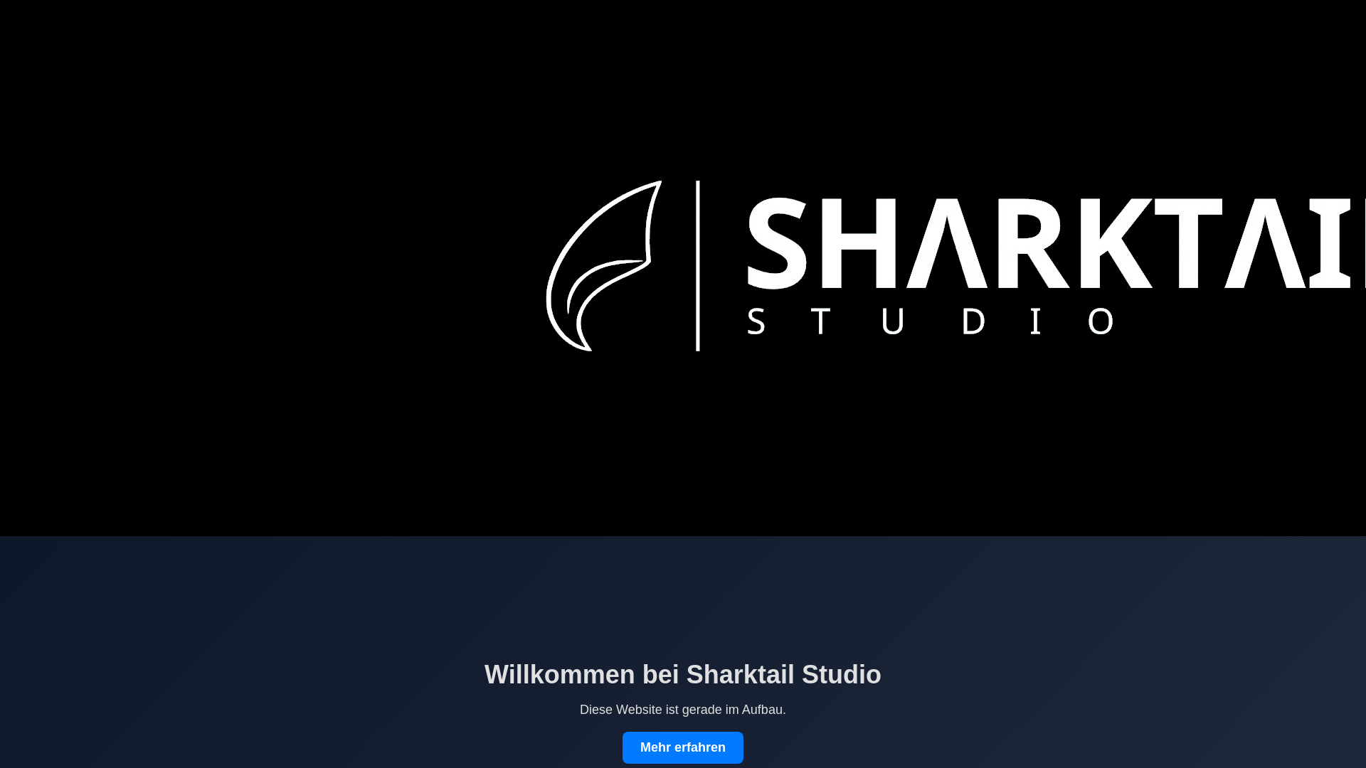 website screenshot of https://shark-tail.studio/