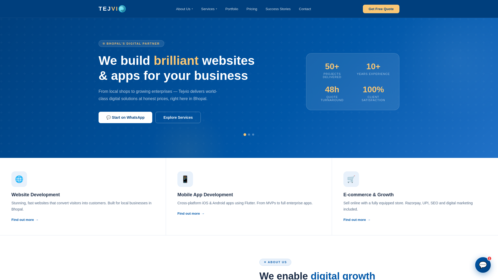 website screenshot of https://tejvio.com/