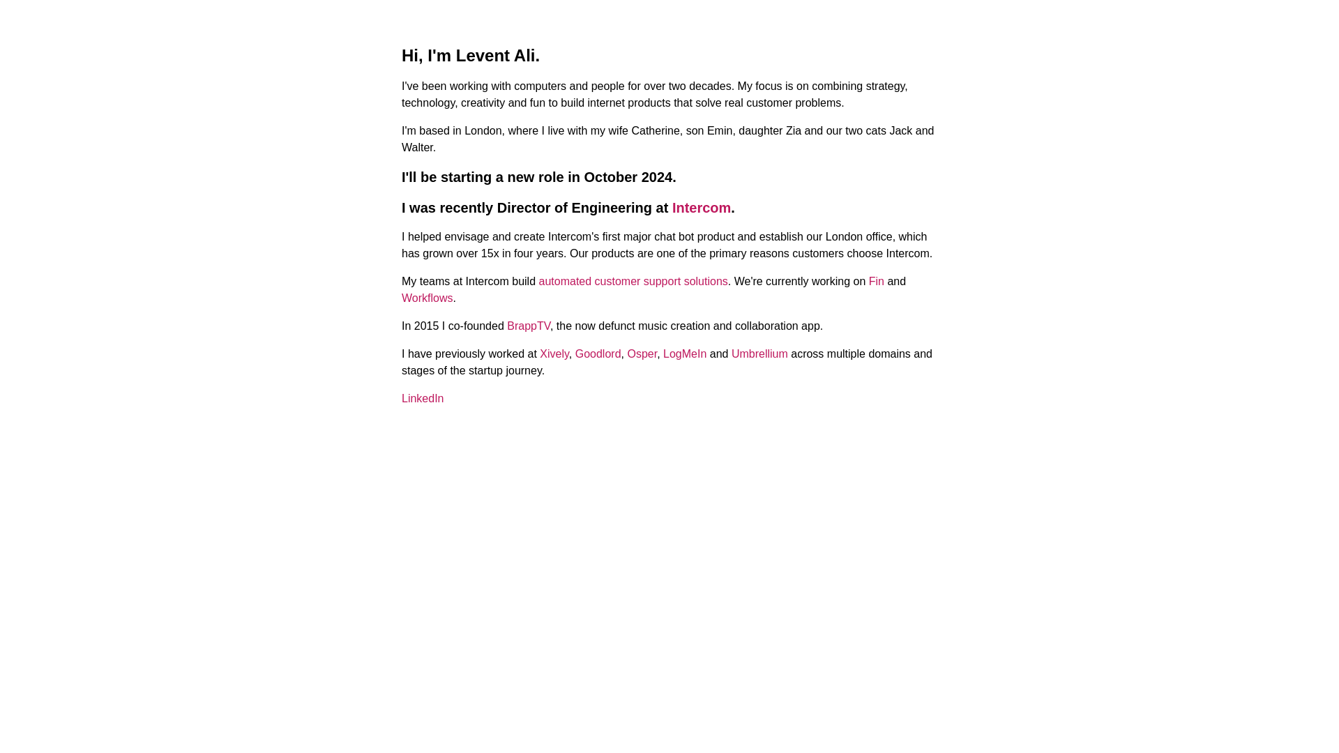 website screenshot of https://leventali.pages.dev/