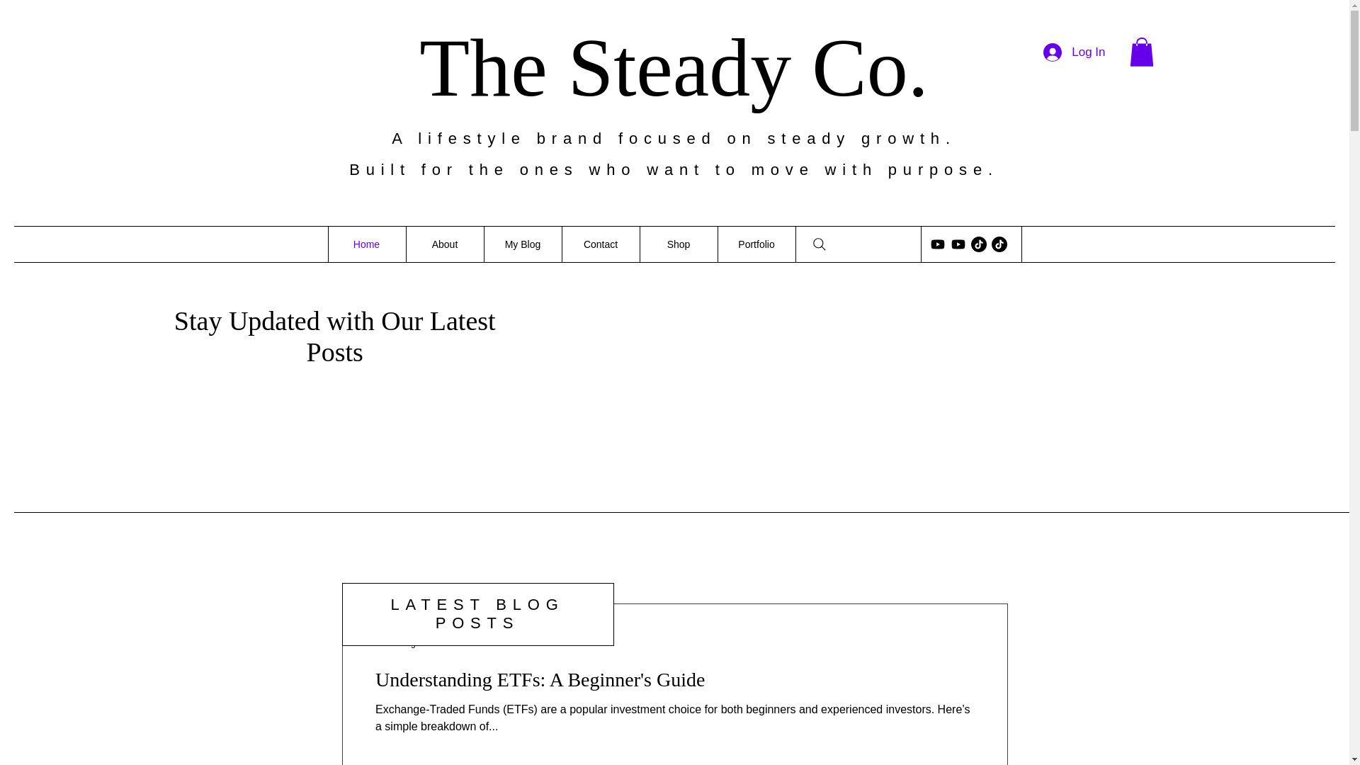 website screenshot of https://thesteadyco.com/