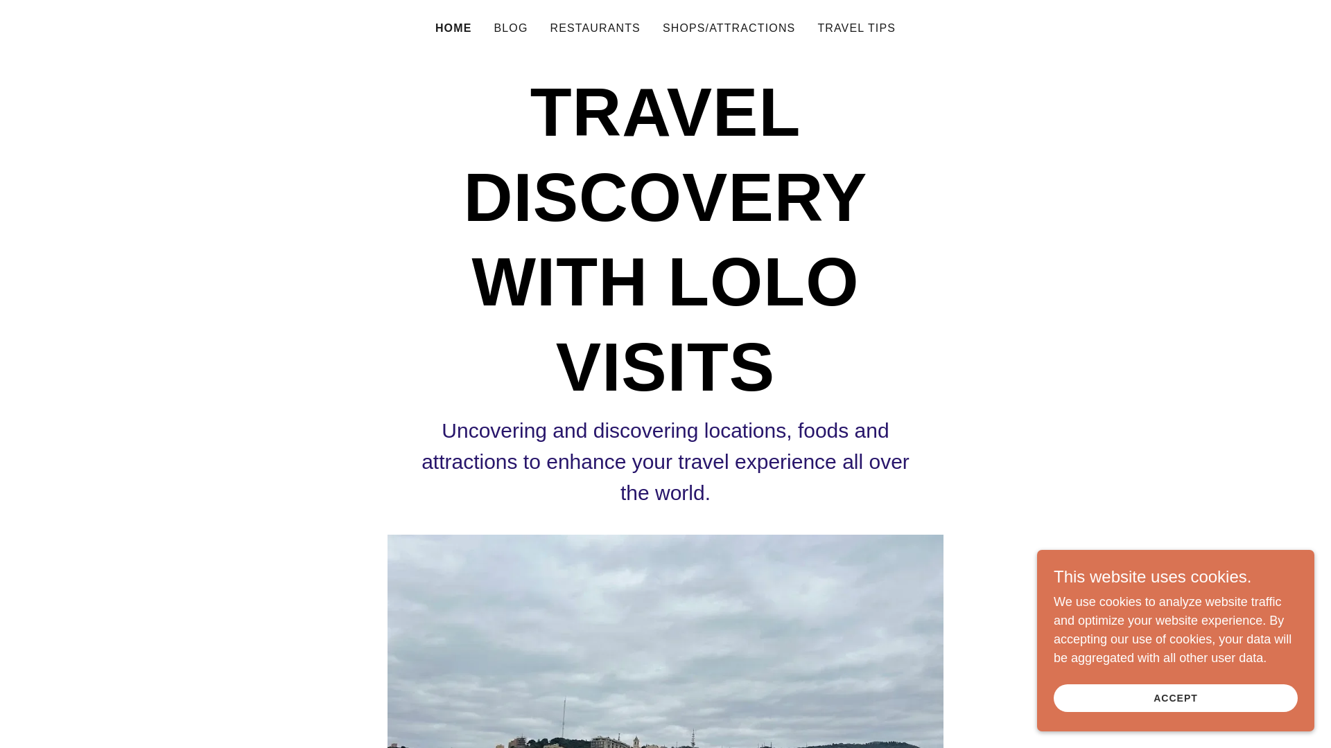 website screenshot of https://lolovisits.com