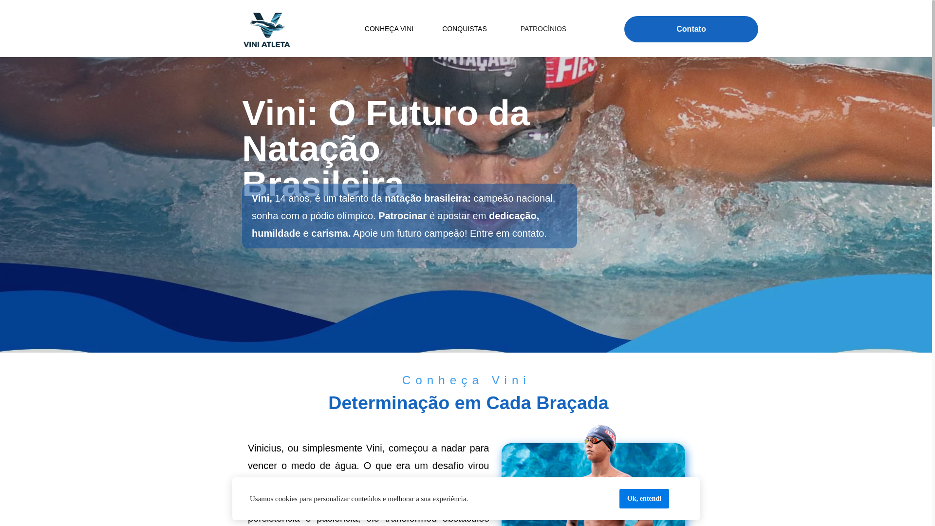 website screenshot of https://viniatleta.com.br/