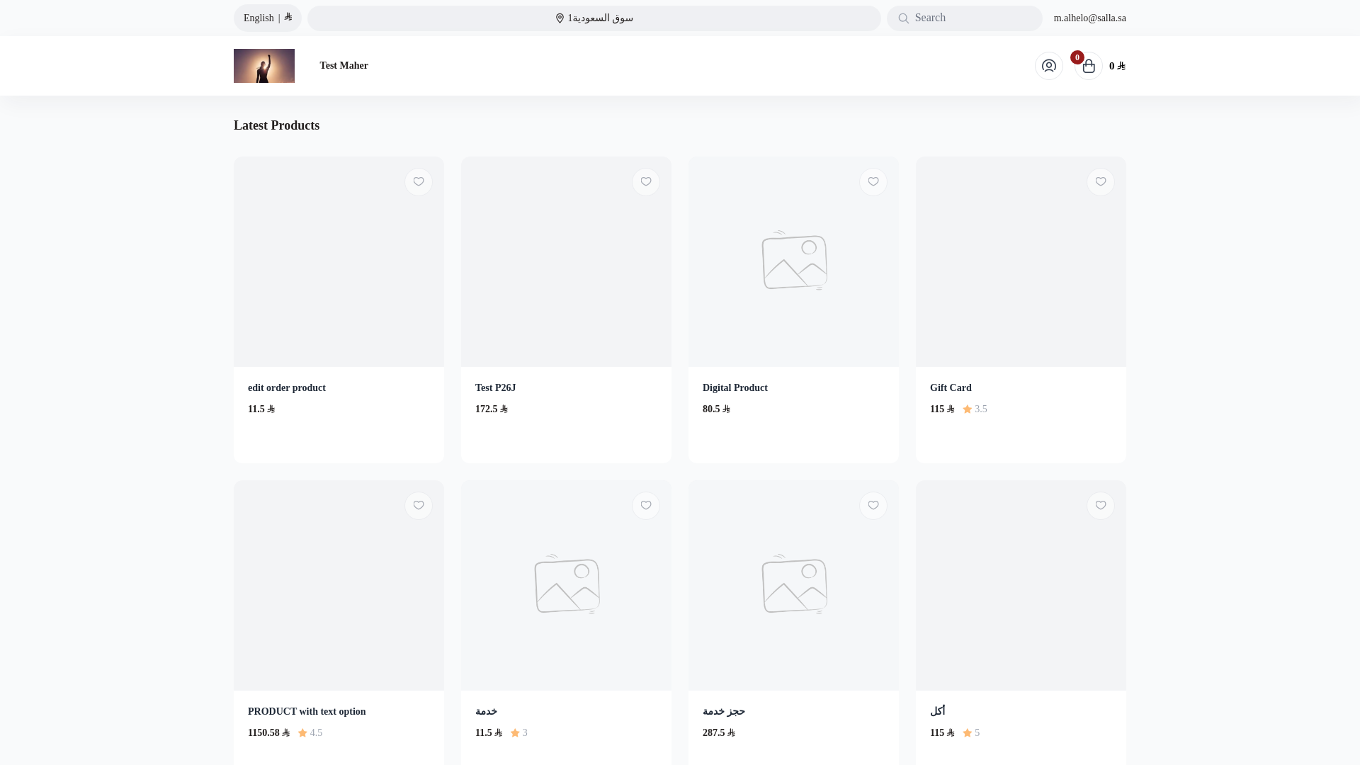 website screenshot of https://rodiger-store.com