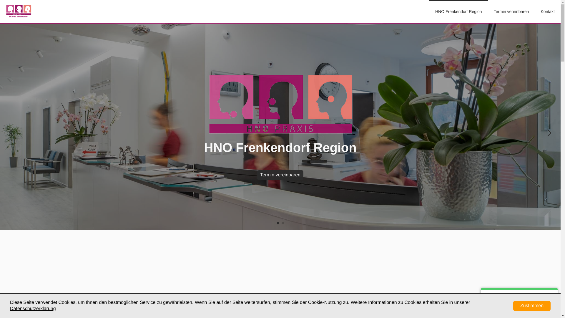 website screenshot of https://hno-frick.ch/