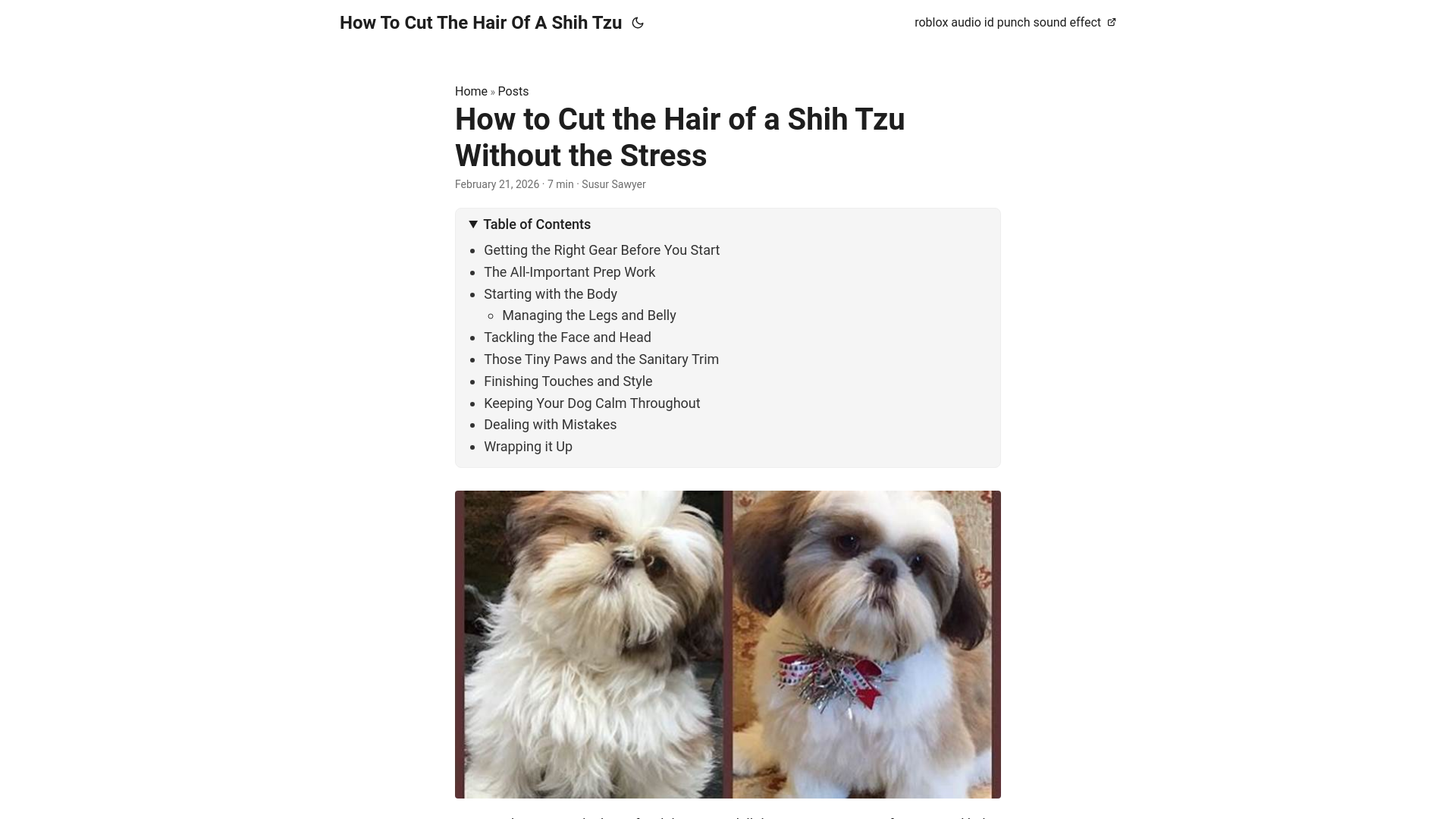 website screenshot of https://how-to-cut-the-hair-of-a-shih-tzu.pages.dev/