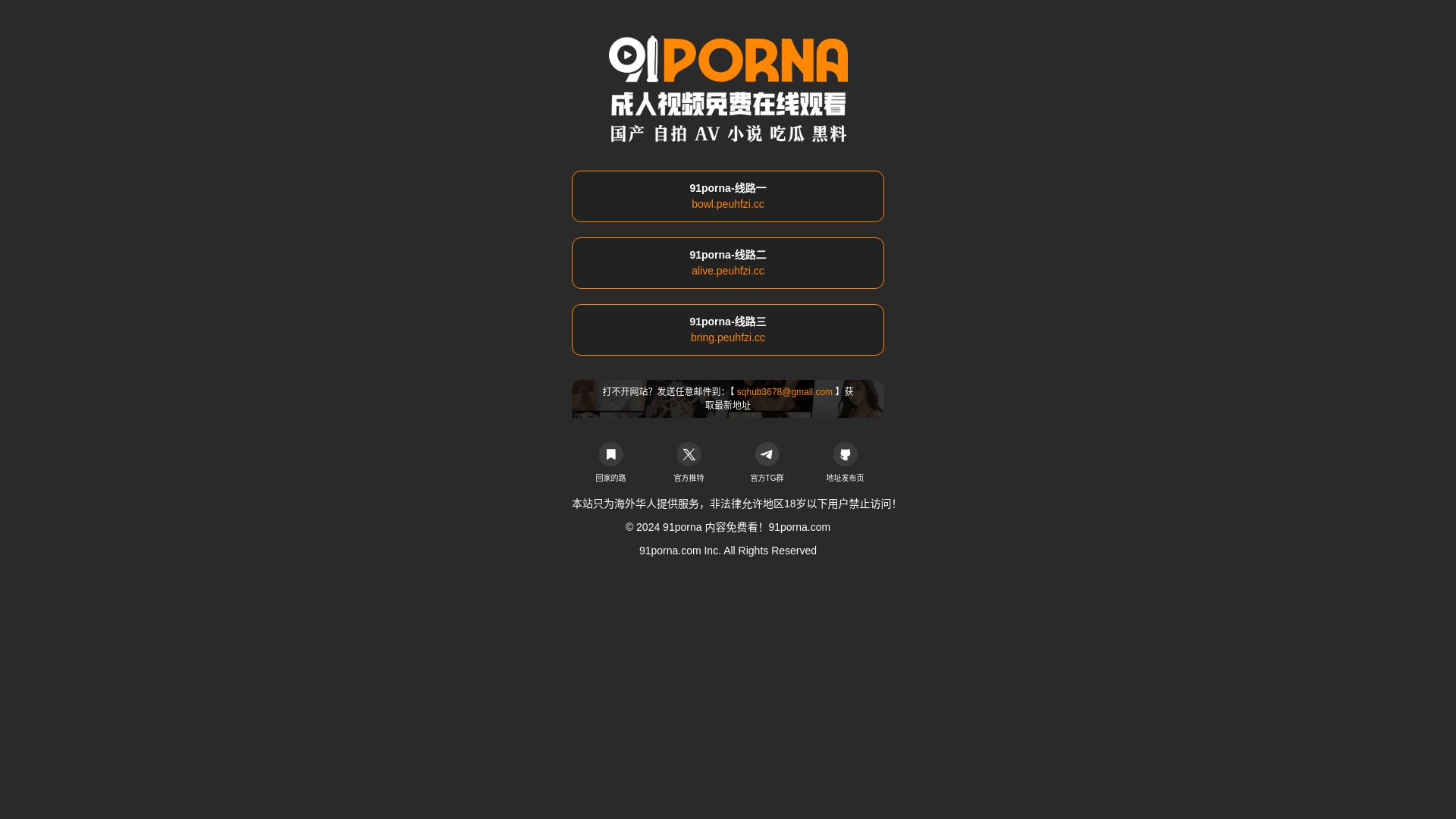 website screenshot of https://91wang103.com/