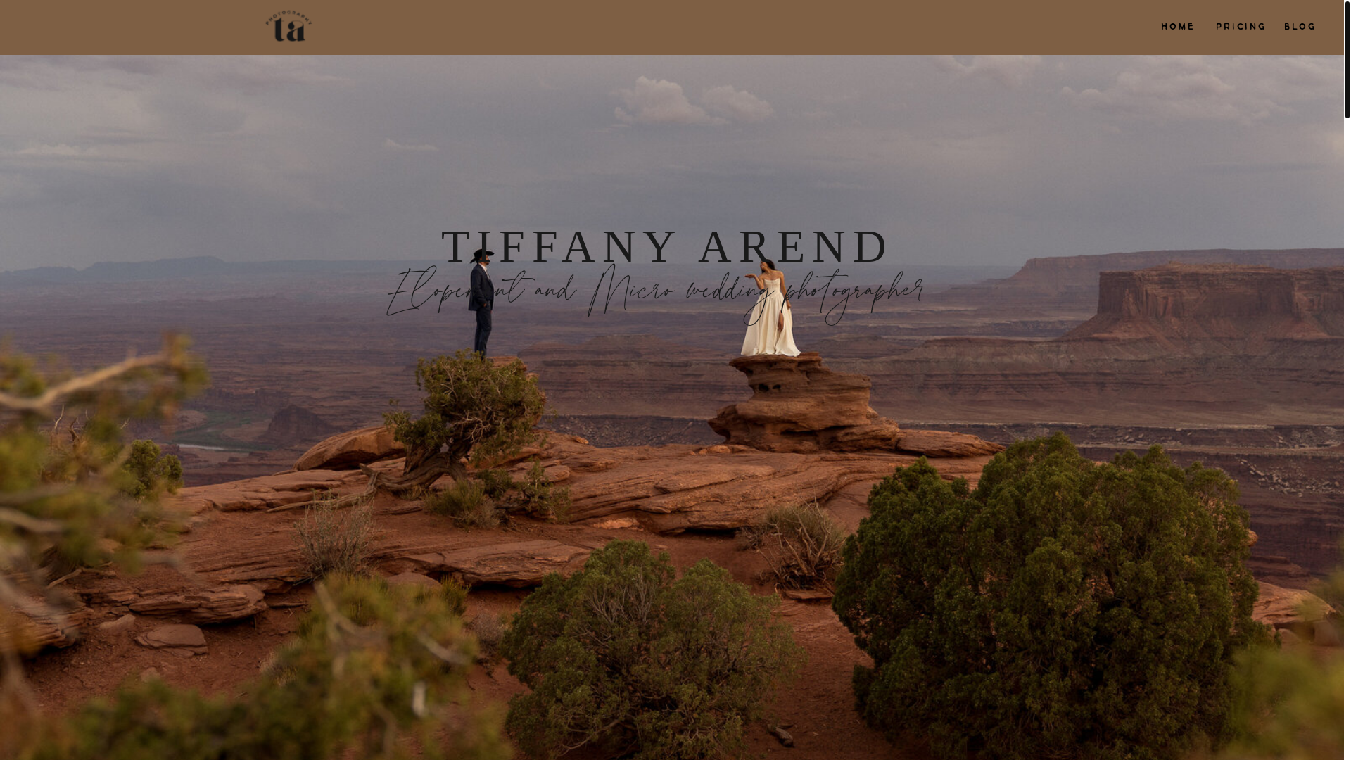 website screenshot of https://tiffanyarendphoto.com/