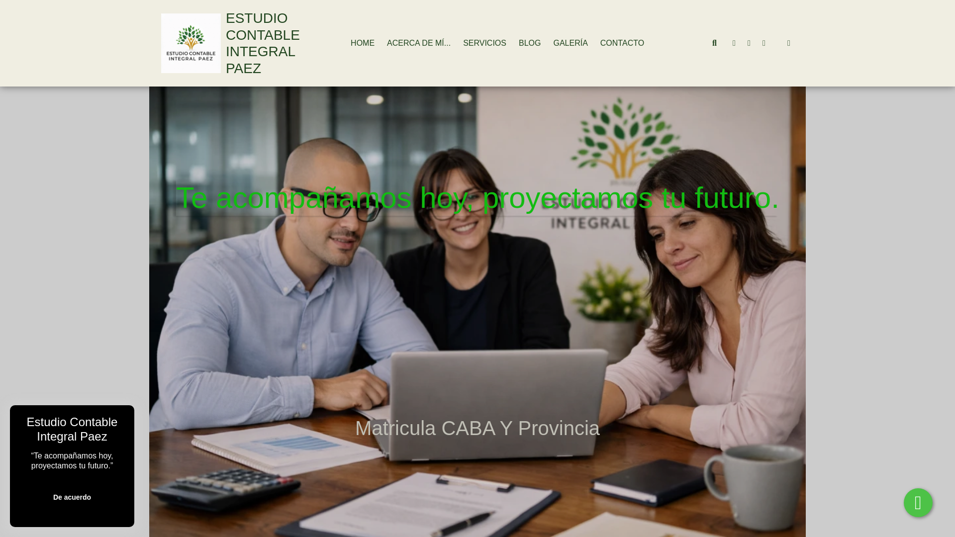 website screenshot of https://estudiocontablepaez.com.ar/