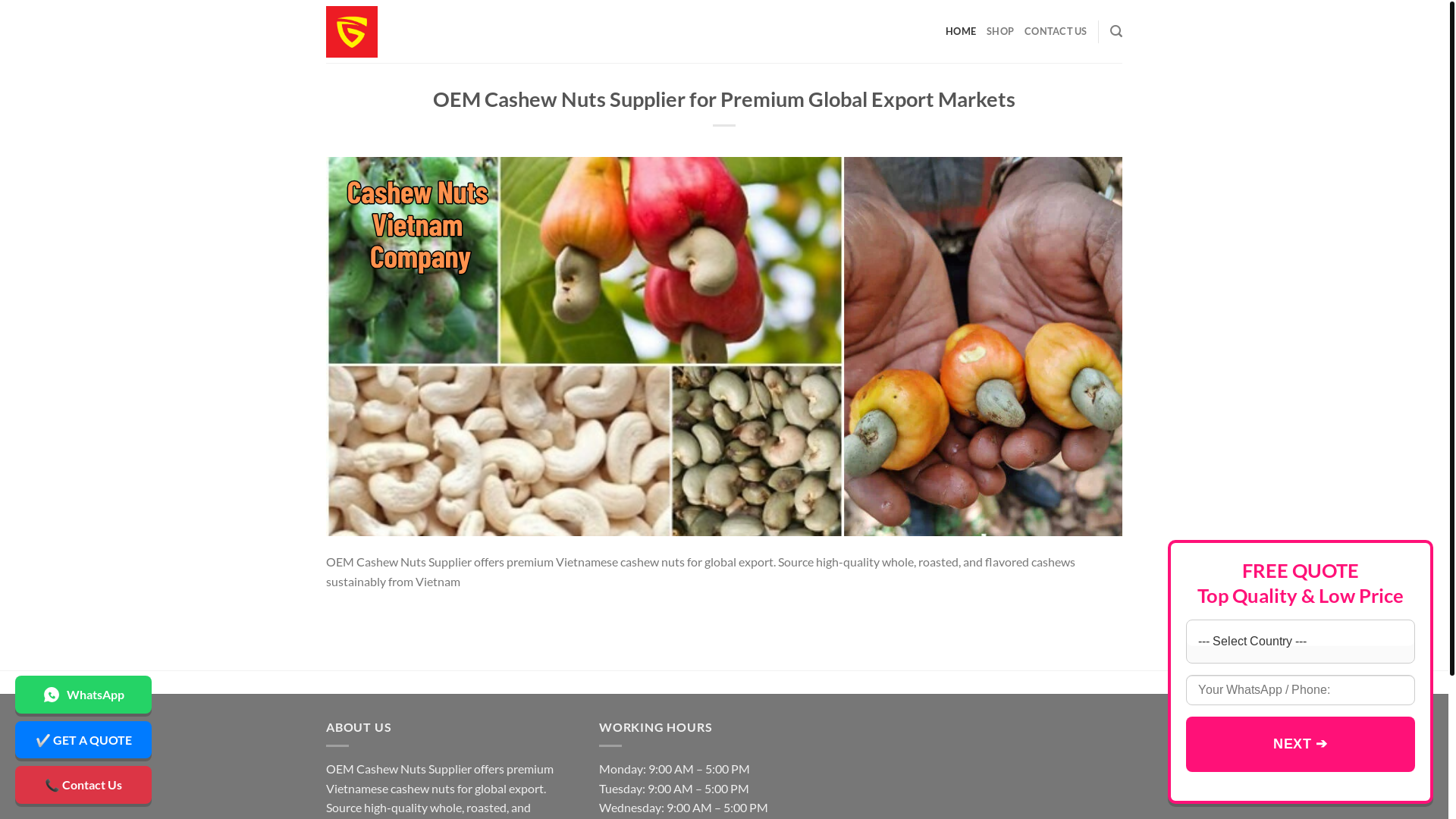 website screenshot of https://vietnamesecashewnutswholesale.com/