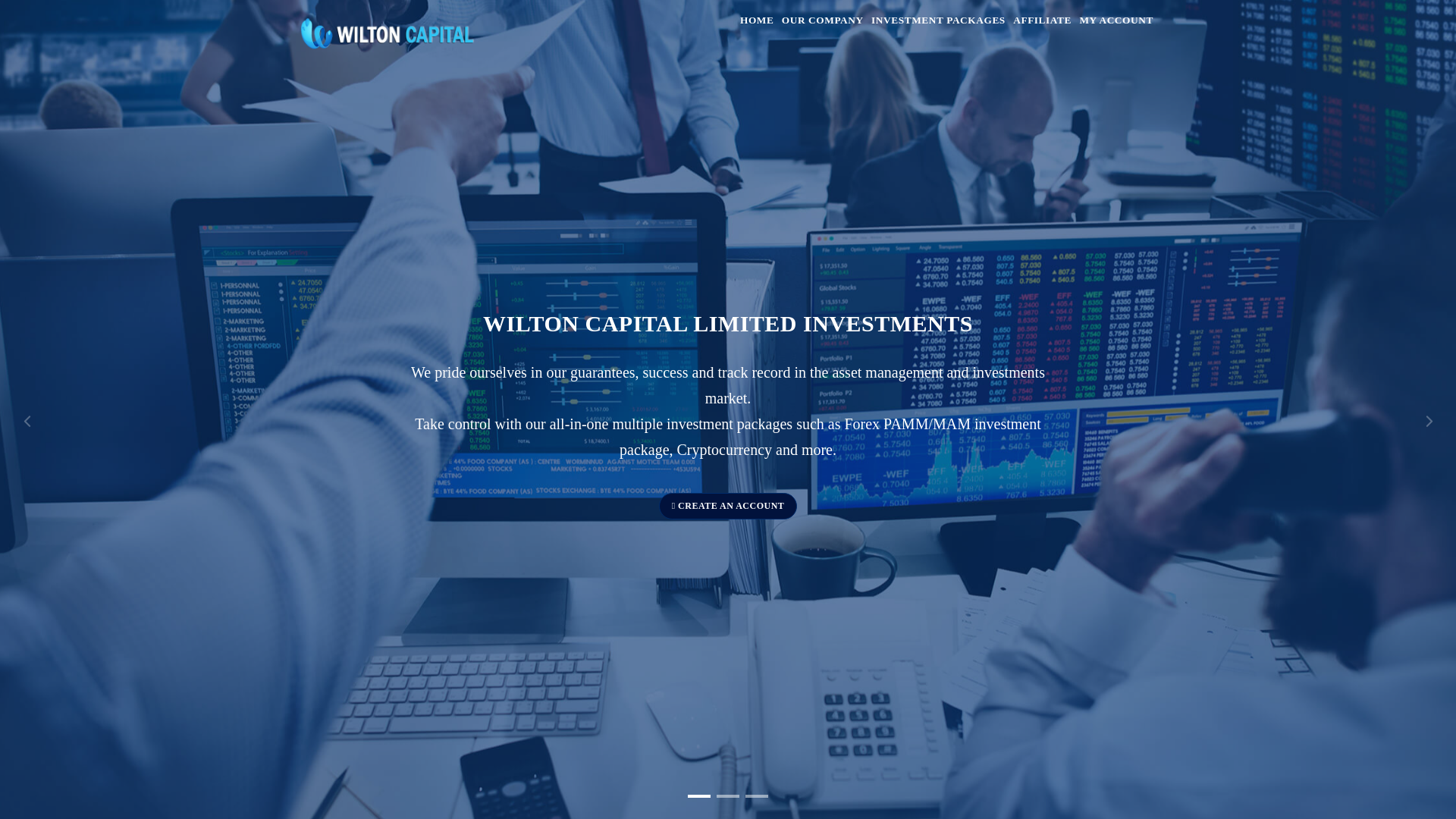 website screenshot of http://wiltoncapitalltd.com