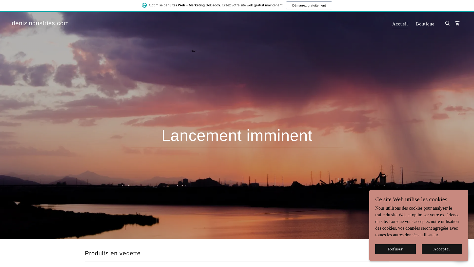 website screenshot of https://denizindustries.com
