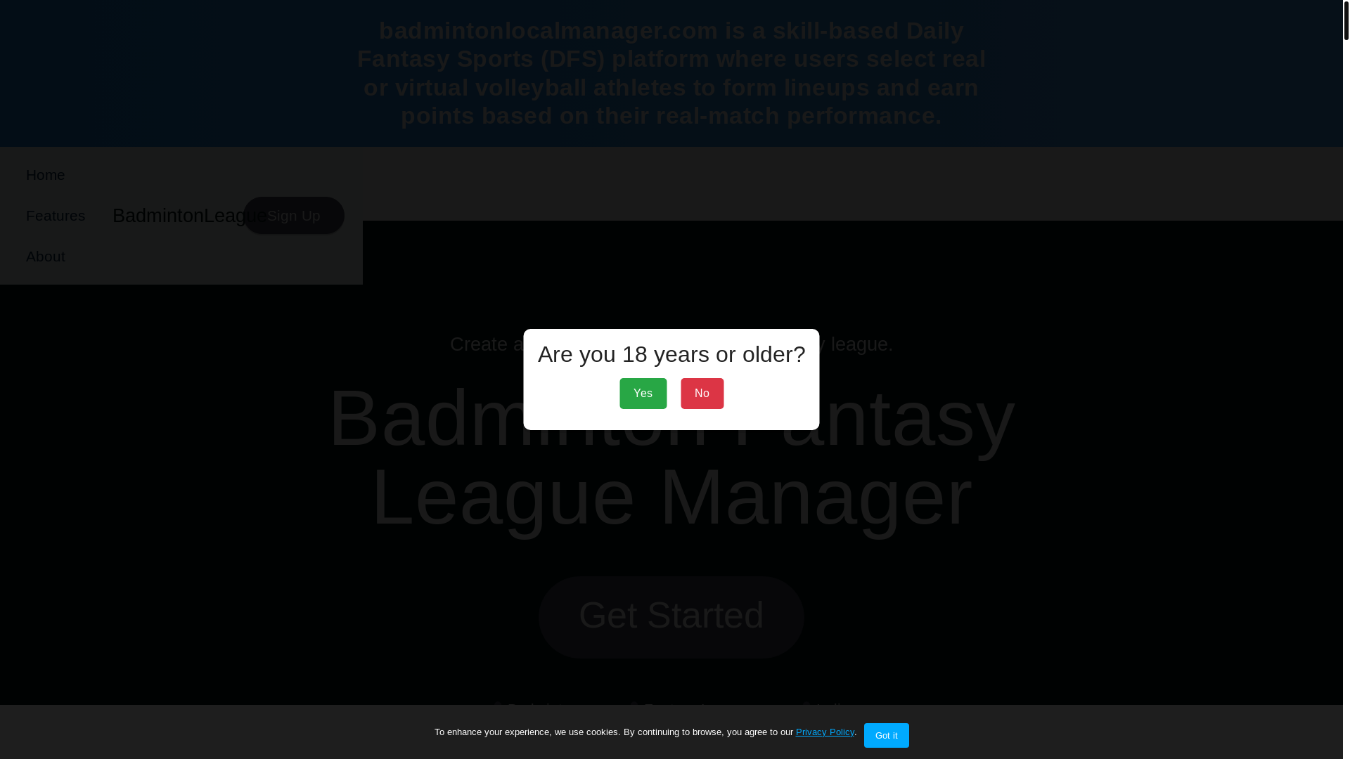 website screenshot of https://badmintonlocalmanager.com/