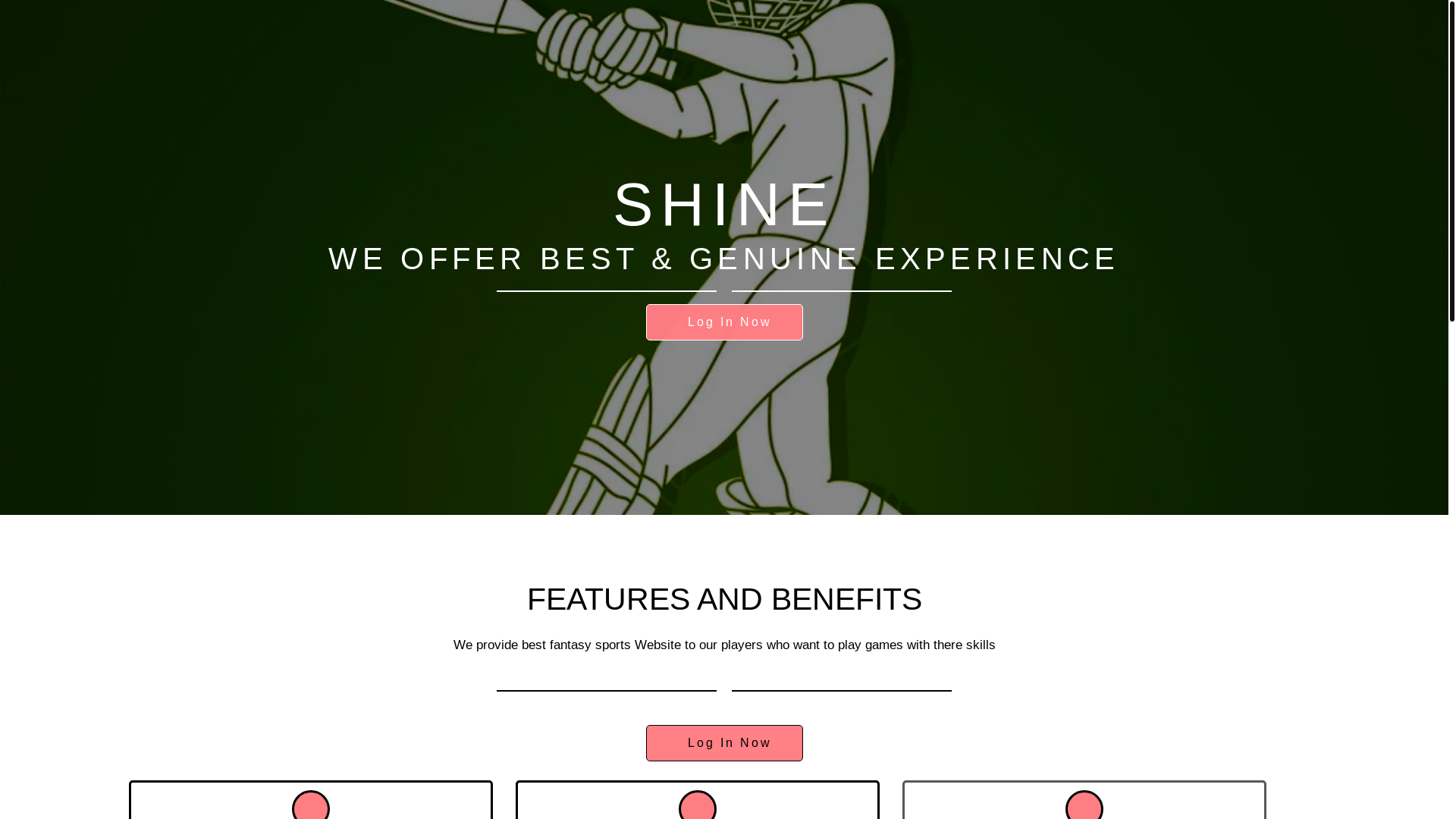 website screenshot of https://shine1book.site/