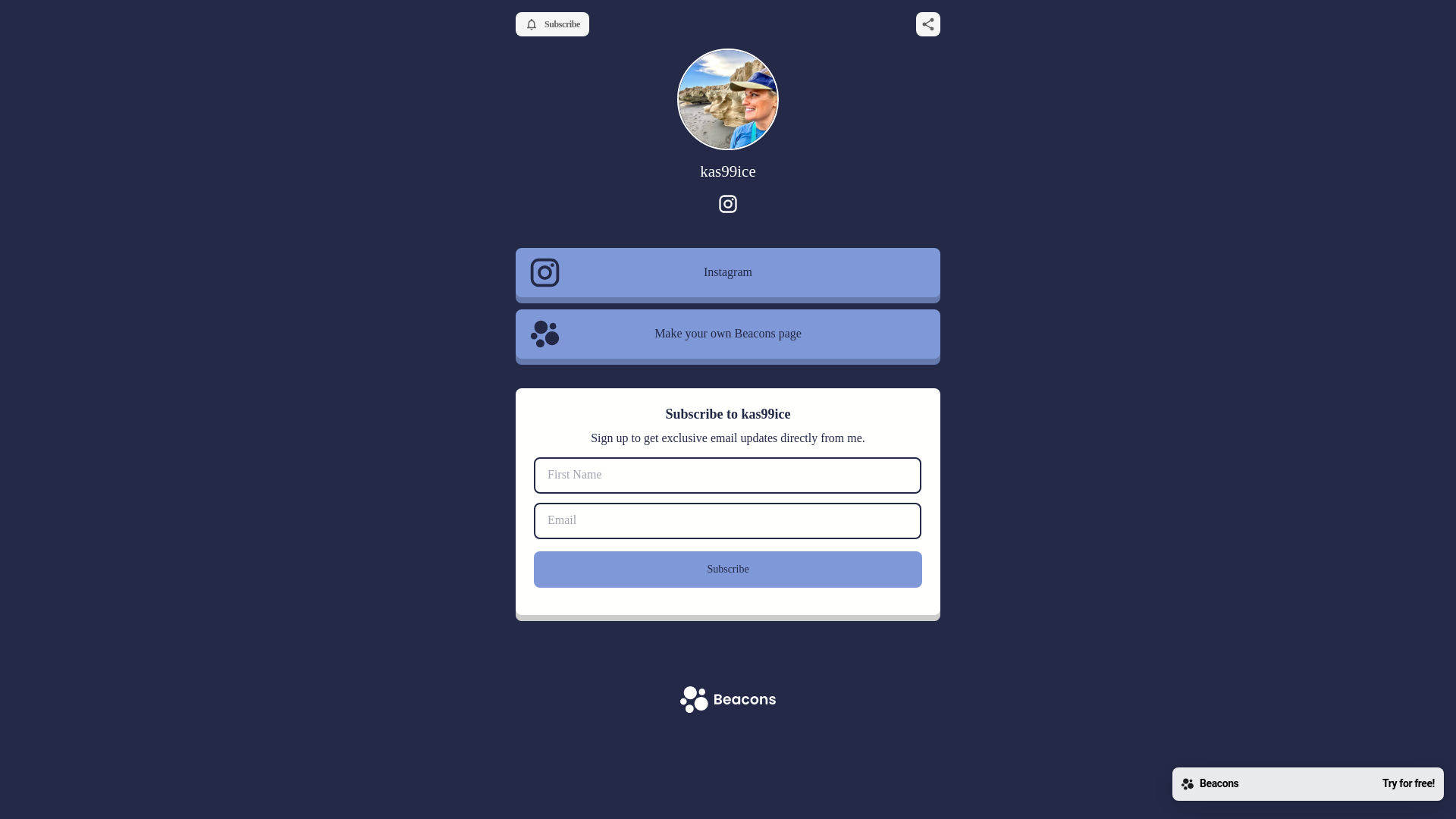 website screenshot of https://paveyourroadwithkelly.com/