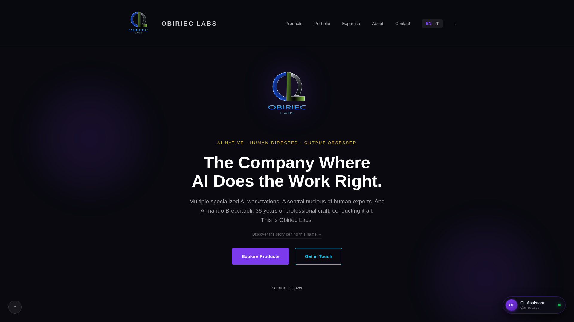 website screenshot of https://obirieclabs.com/
