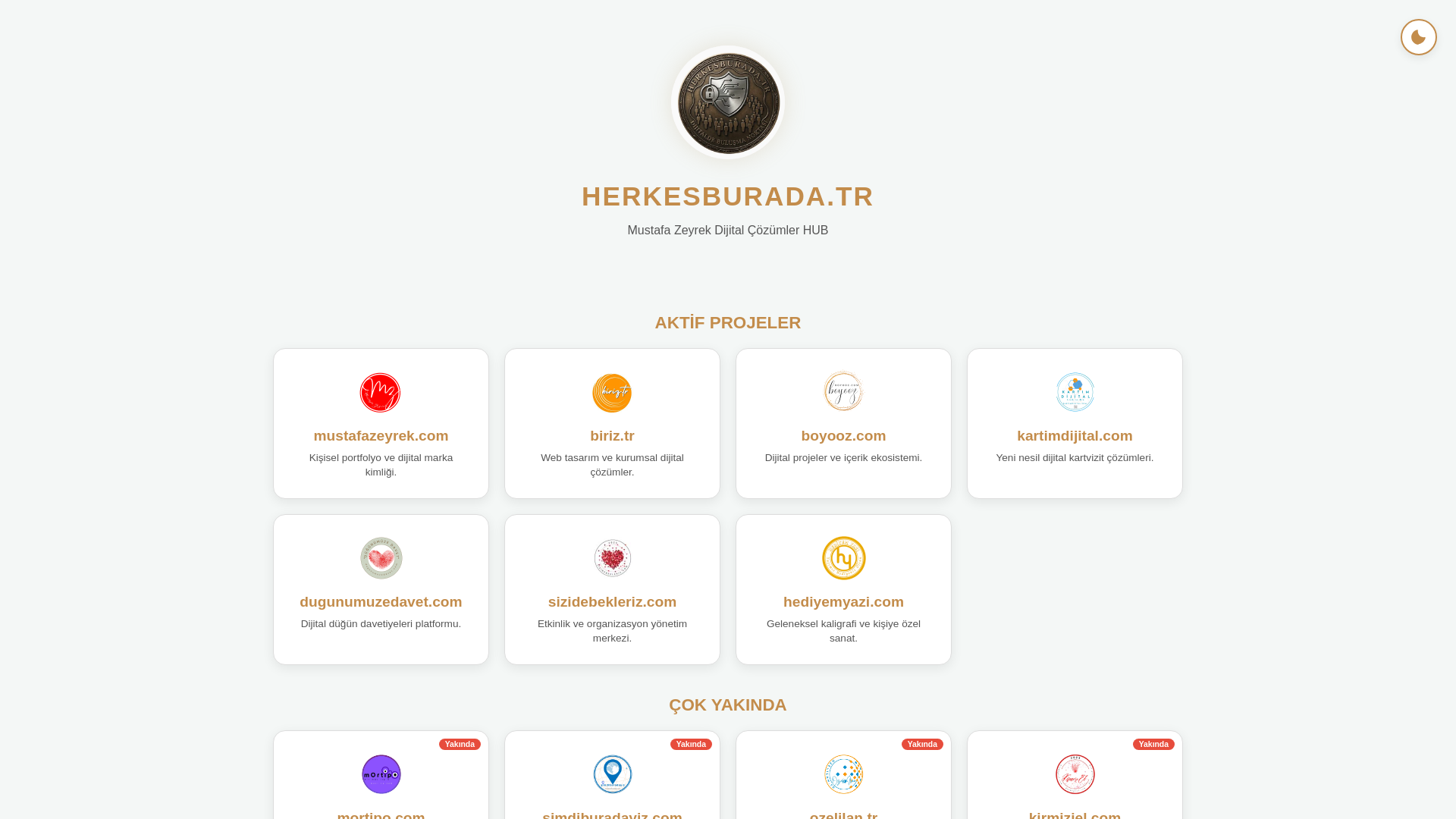 website screenshot of https://atolyemizi.com/