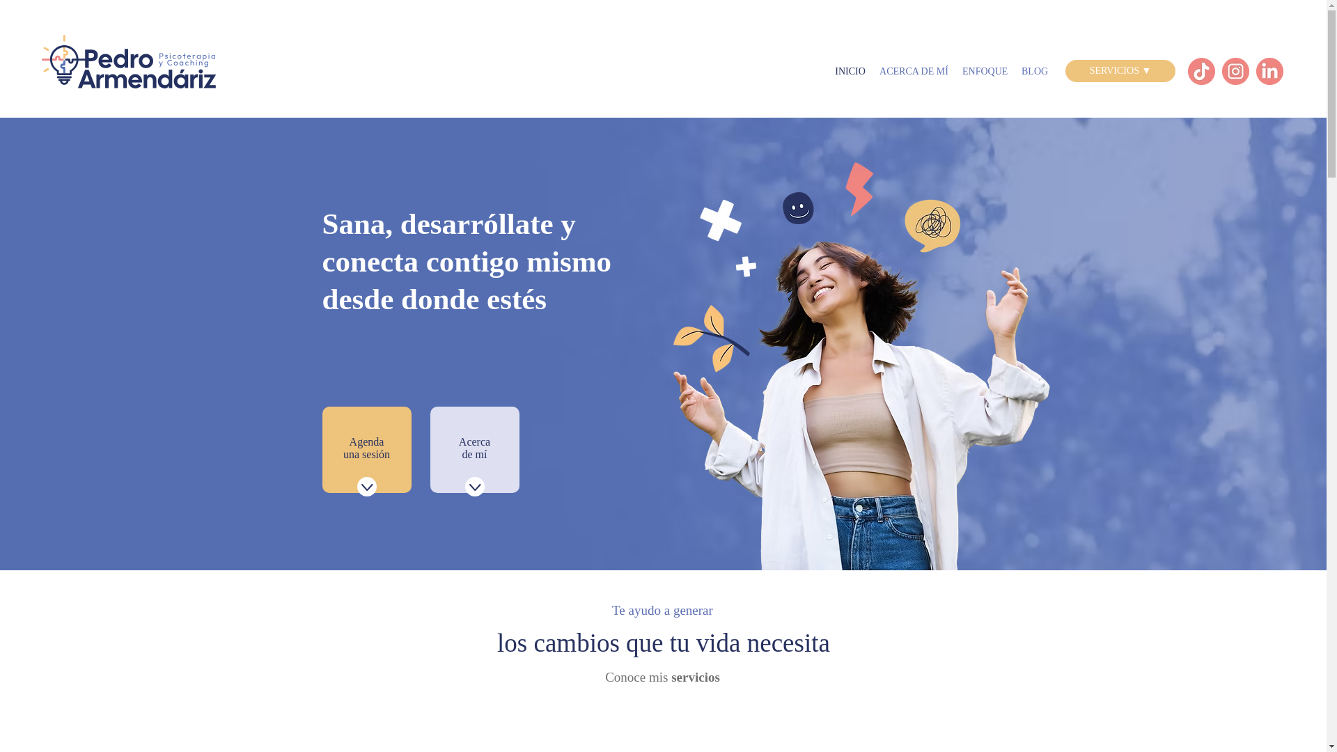 website screenshot of https://armendariz.pe/