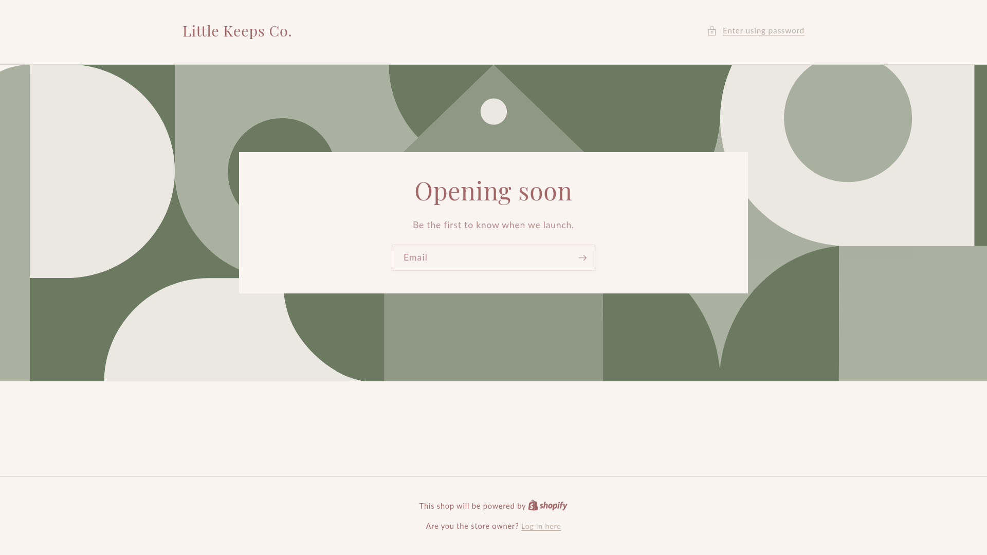 website screenshot of https://littlekeepsco.store/