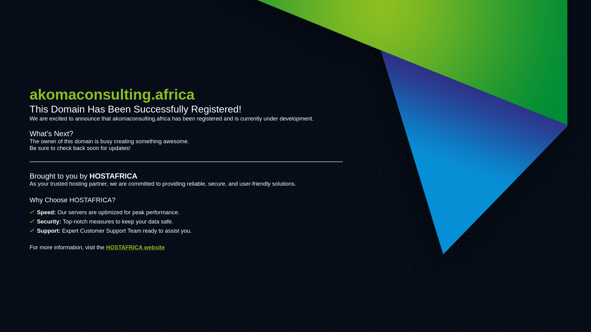 website screenshot of https://akomaconsulting.africa/