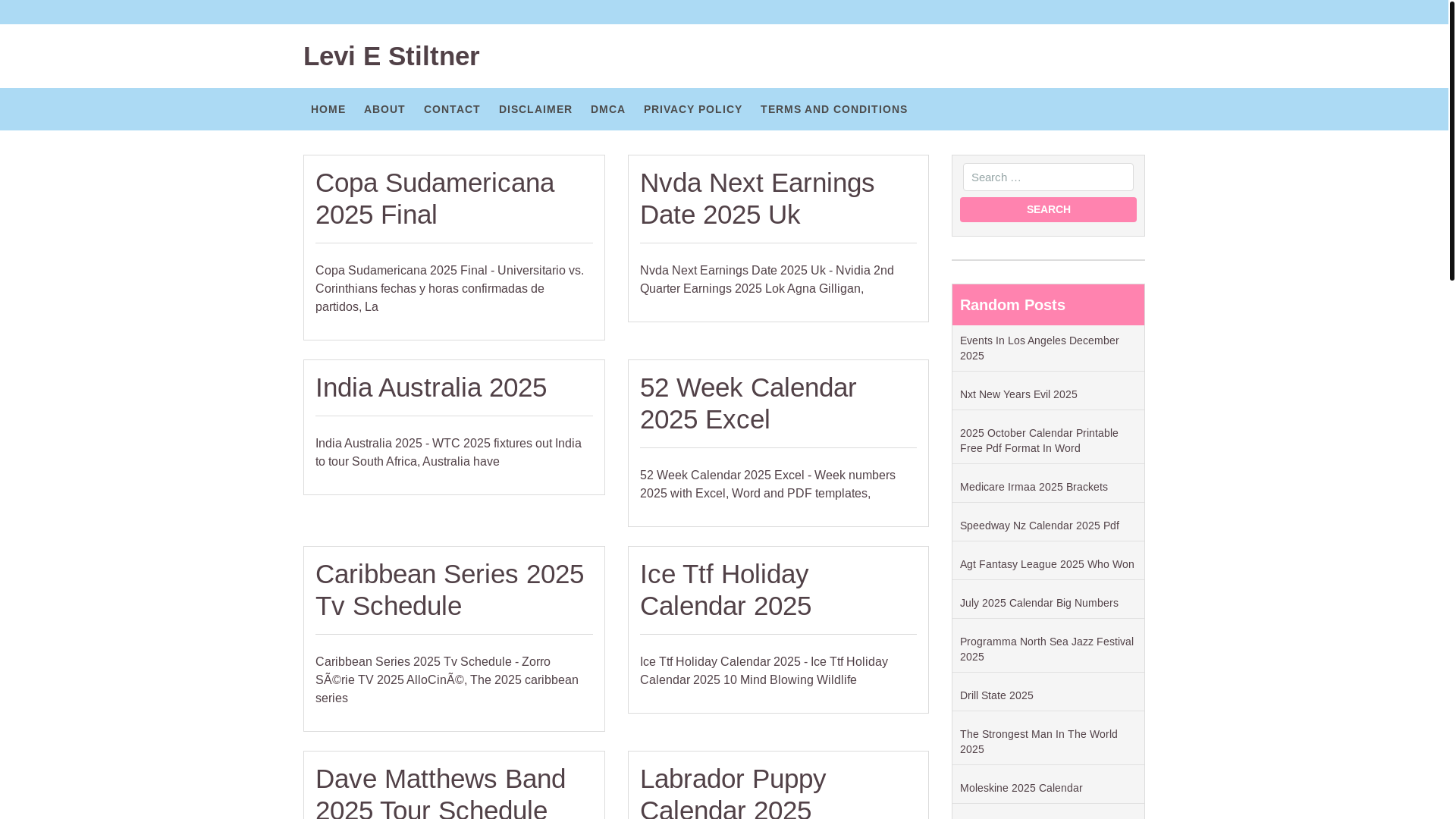 website screenshot of https://leviestiltnert.pages.dev/