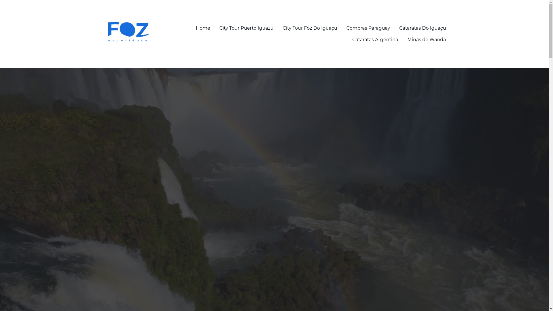website screenshot of https://fozexperience.com/