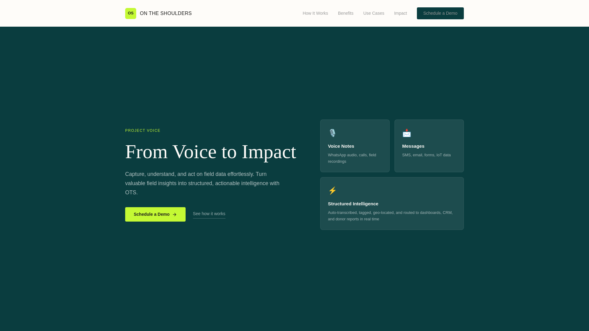website screenshot of https://voice-ots.pages.dev/