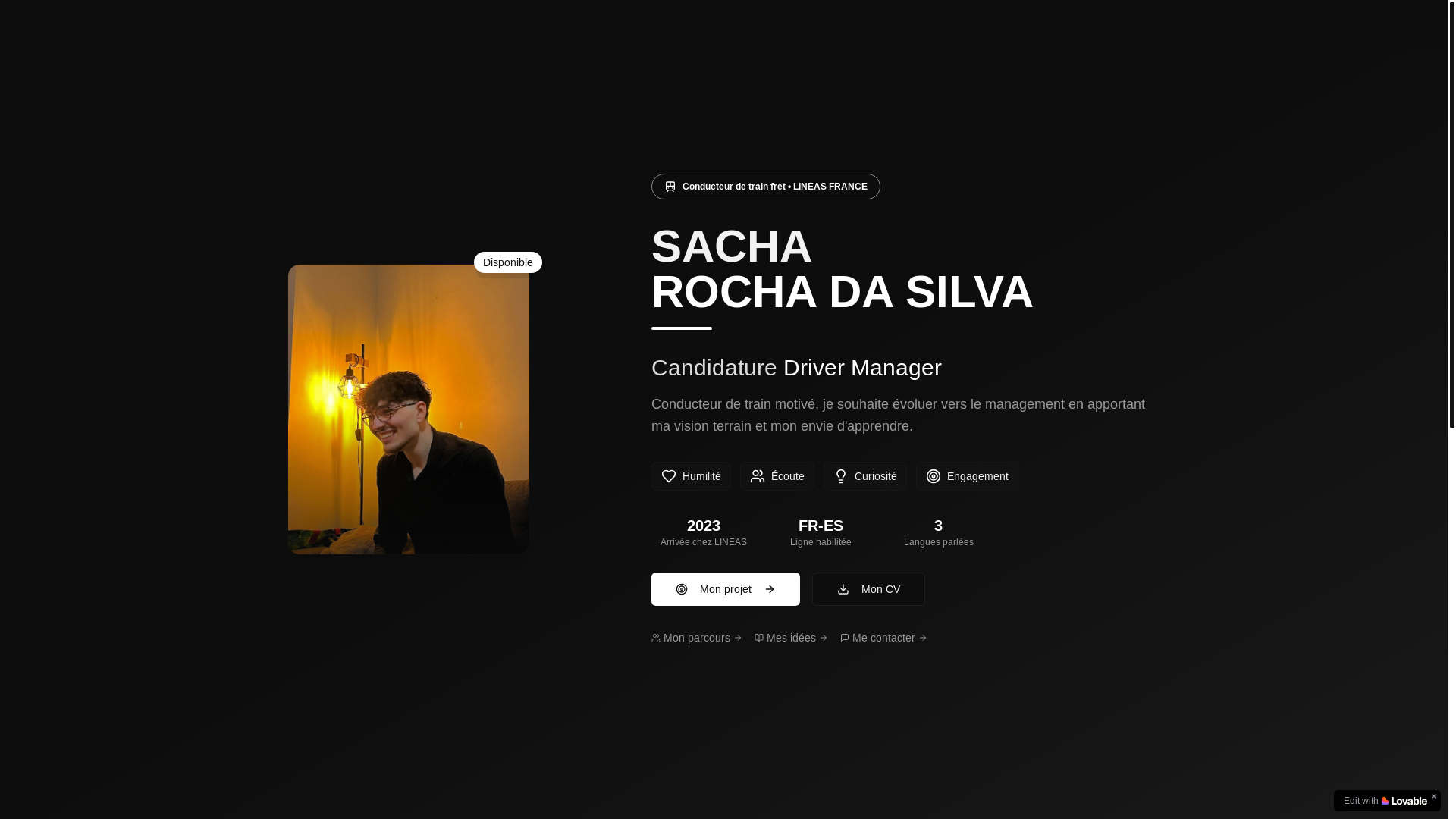 website screenshot of https://sacharochadasilva.fr/