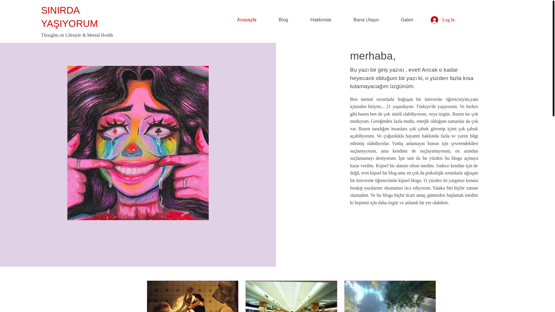 website screenshot of https://cerryco.shop/